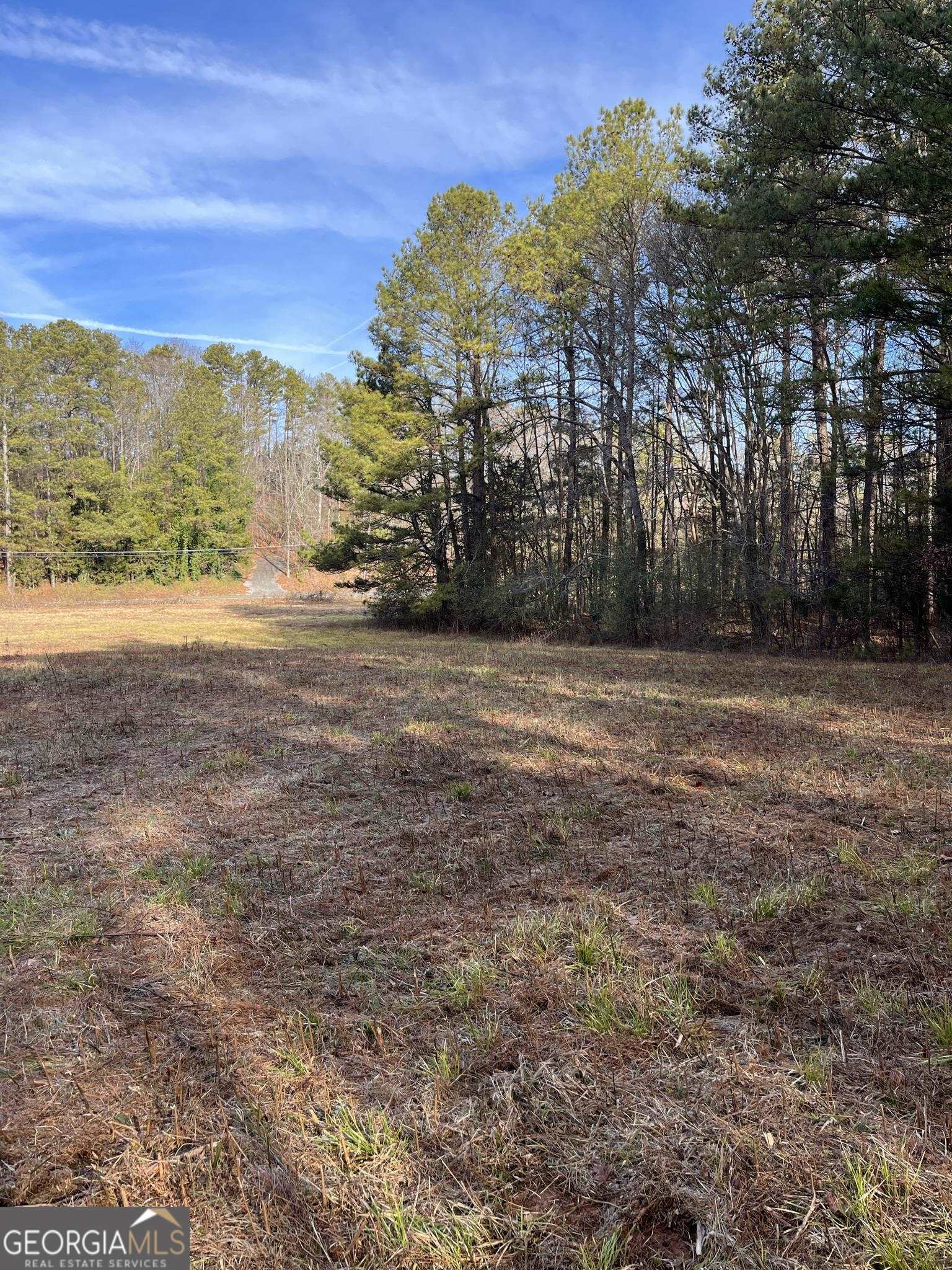 Photo 18 of 18 of 300 Cassville White Lot 4 land