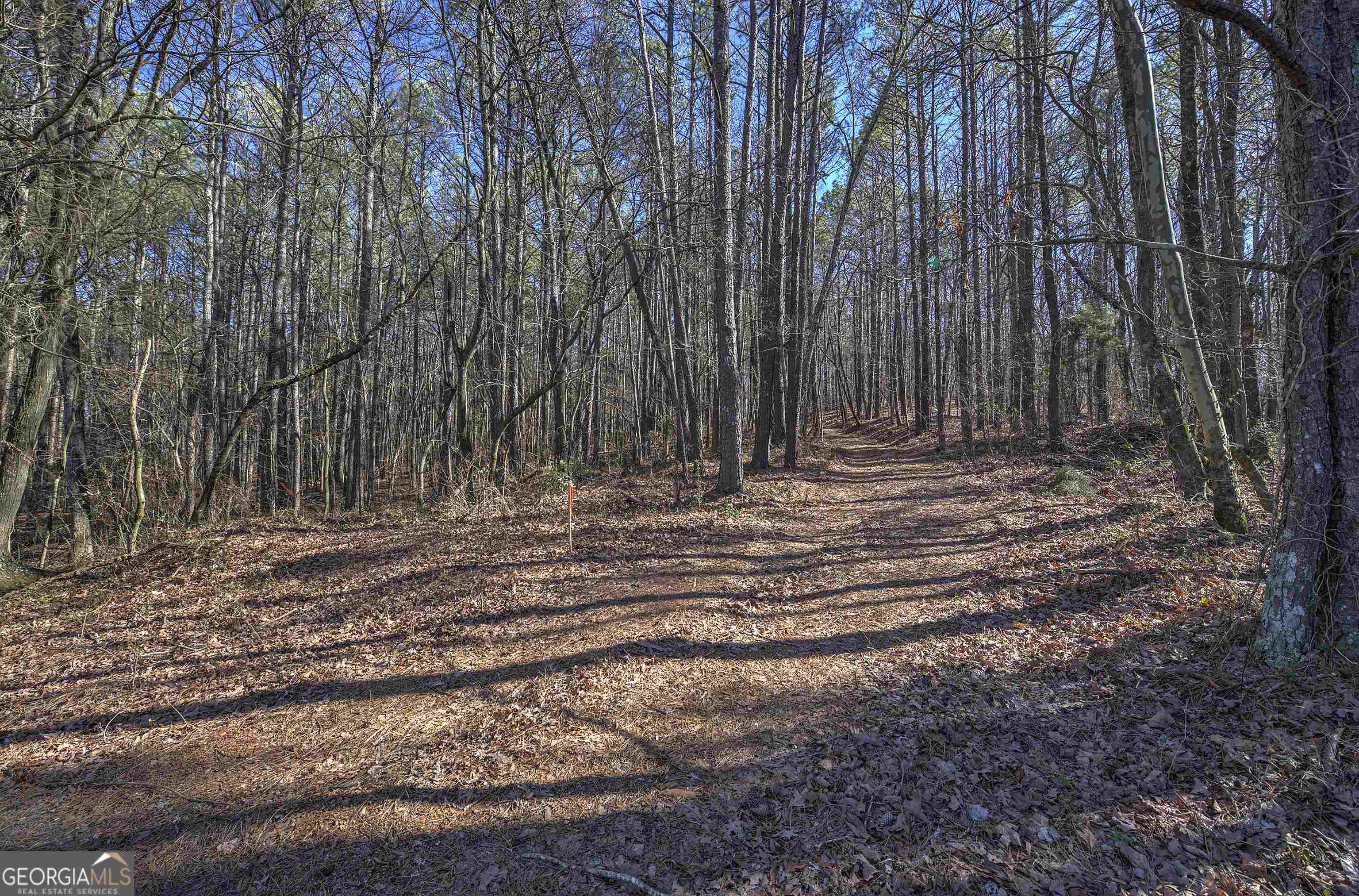 Photo 3 of 18 of 300 Cassville White Lot 4 land