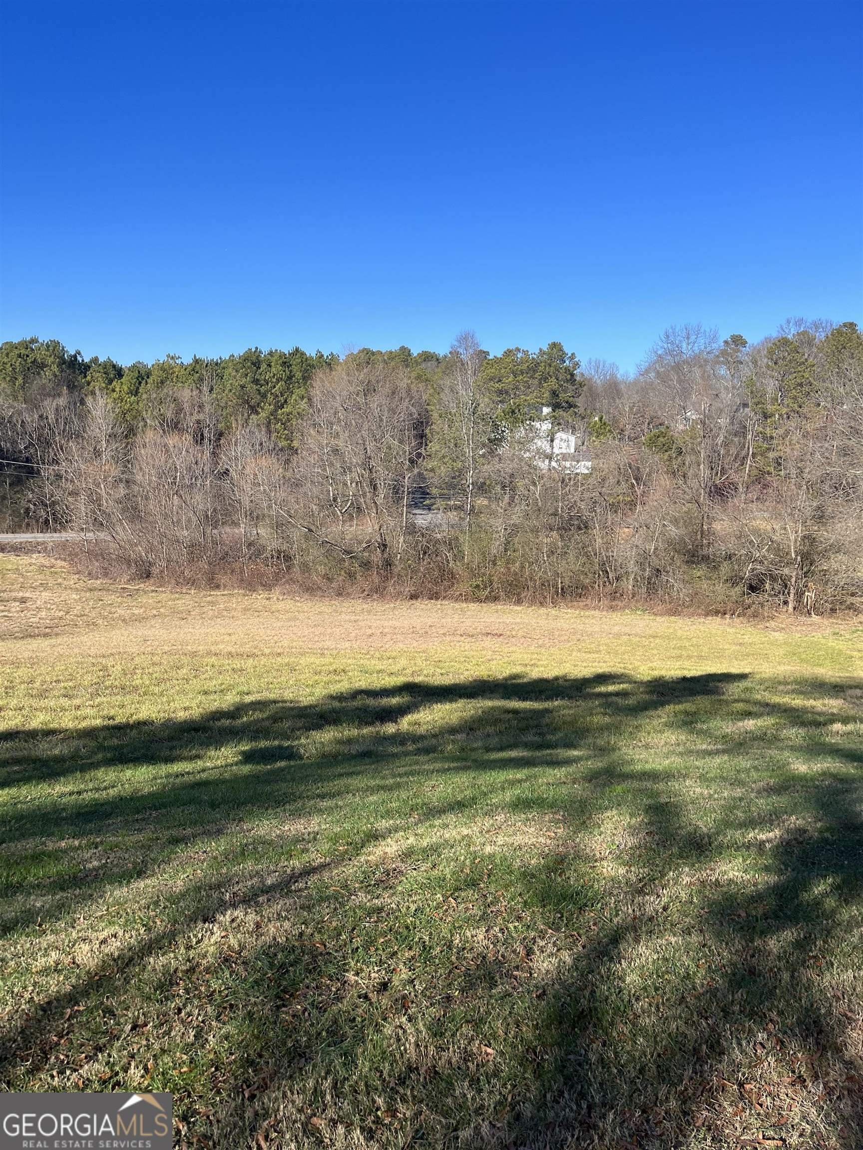 Photo 4 of 18 of 300 Cassville White Lot 4 land