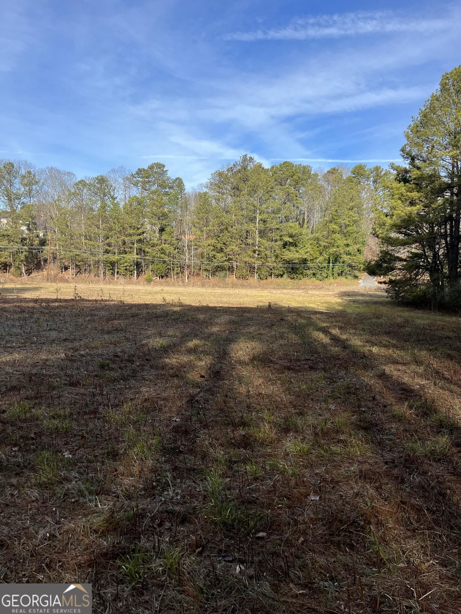 Photo 9 of 18 of 300 Cassville White Lot 4 land
