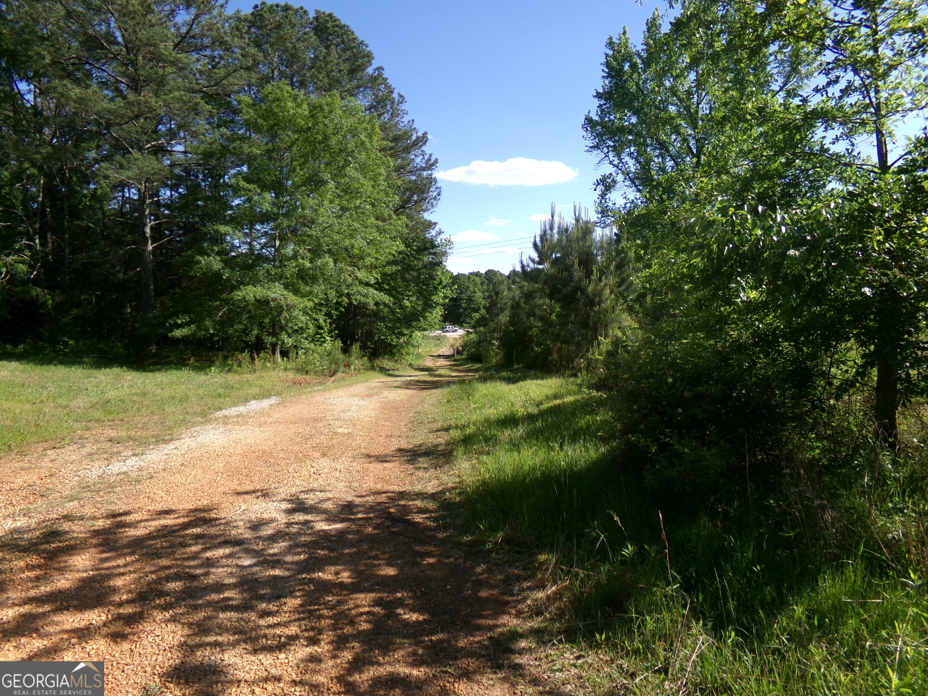 Photo 9 of 40 of 3905 Georgia Highway 138 land