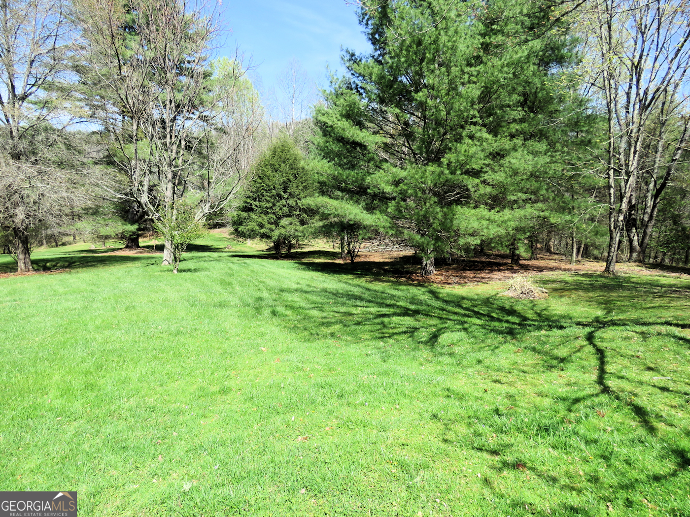 Photo 5 of 17 of 133 Elkmont RD house