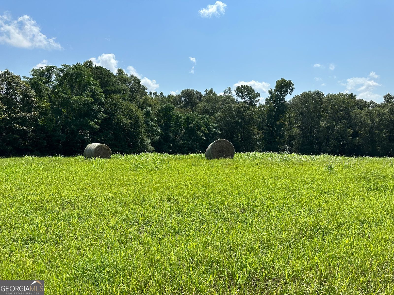 Photo 3 of 24 of 100AC Twin Bridges Rd land