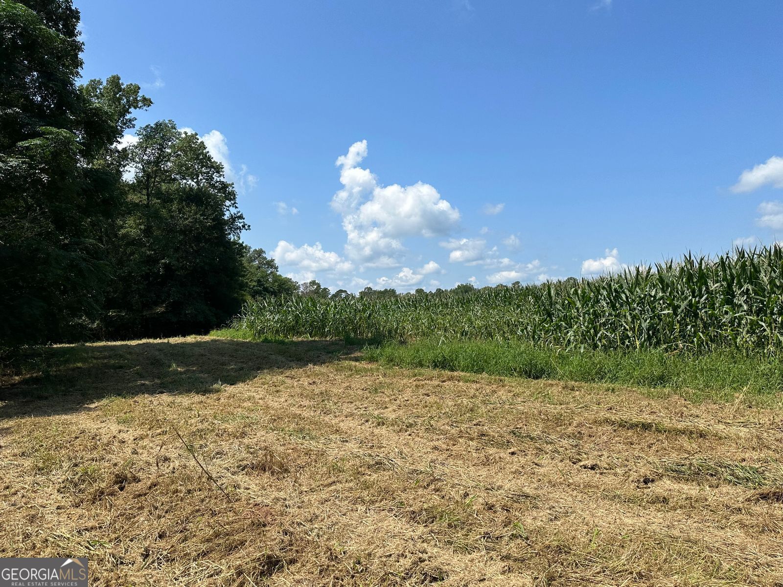 Photo 5 of 24 of 100AC Twin Bridges Rd land