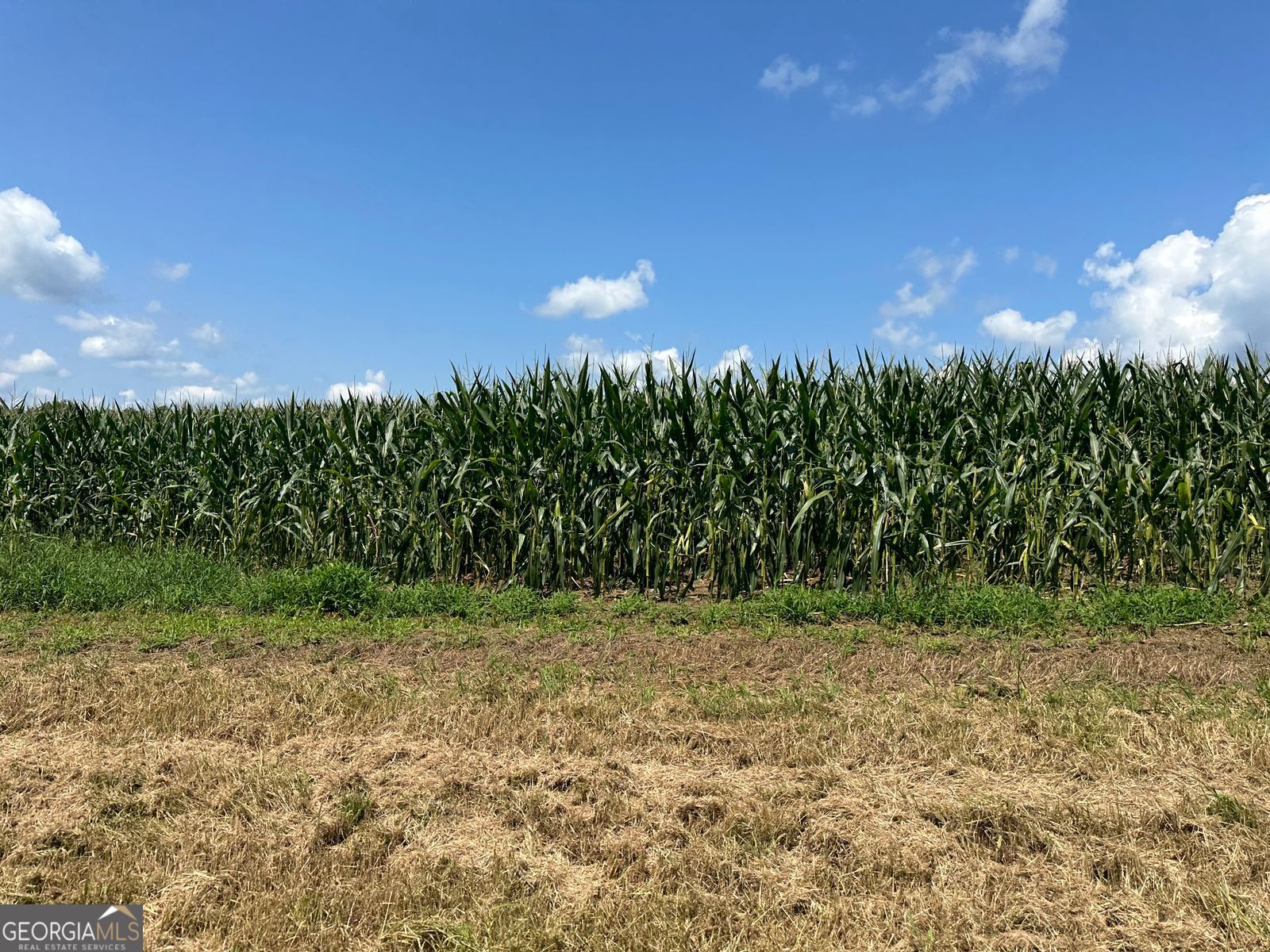 Photo 6 of 24 of 100AC Twin Bridges Rd land