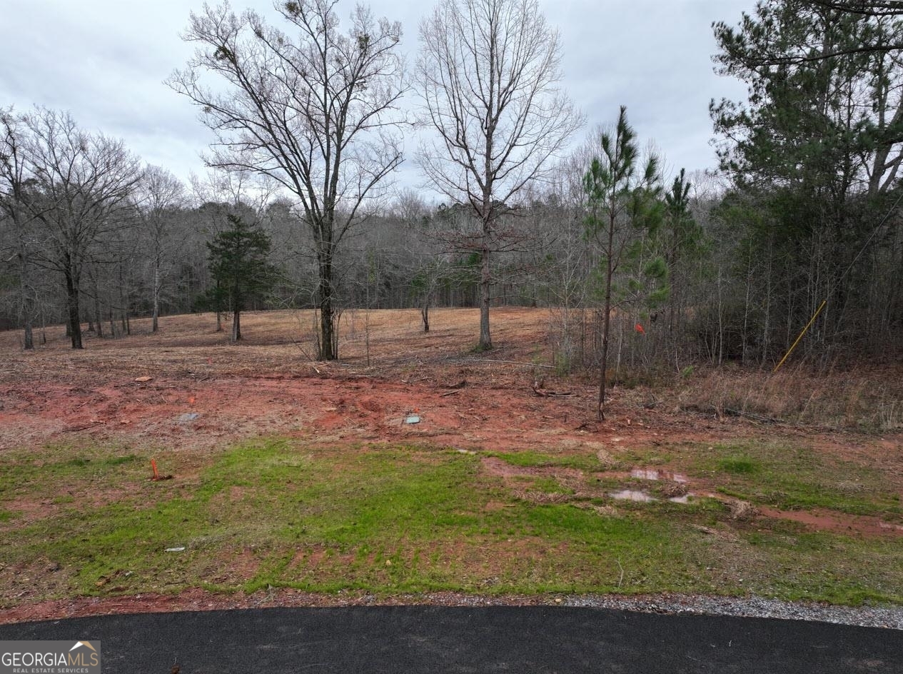 Photo 1 of 4 of LOT 9 Young LN land