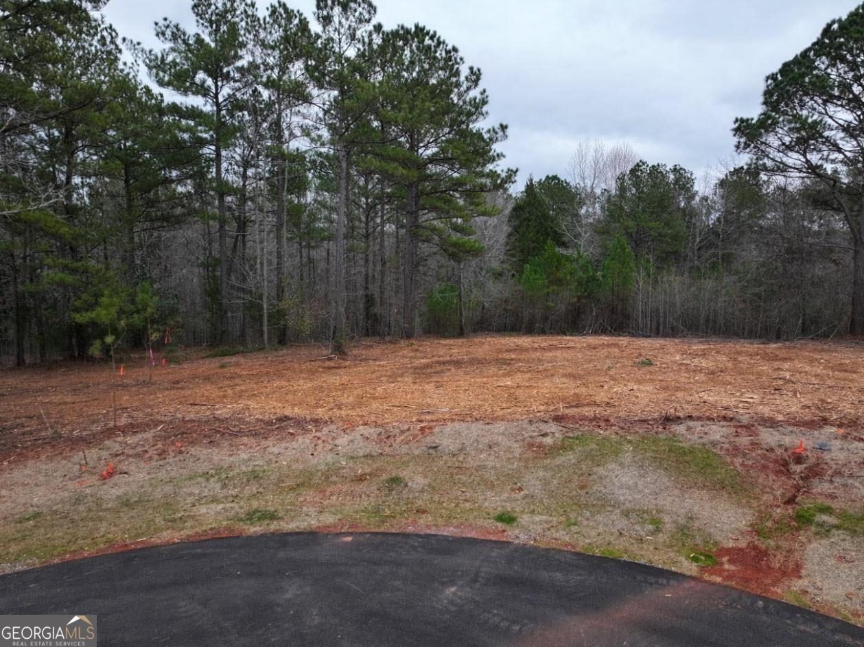 Photo 1 of 4 of LOT 15 Young LN land