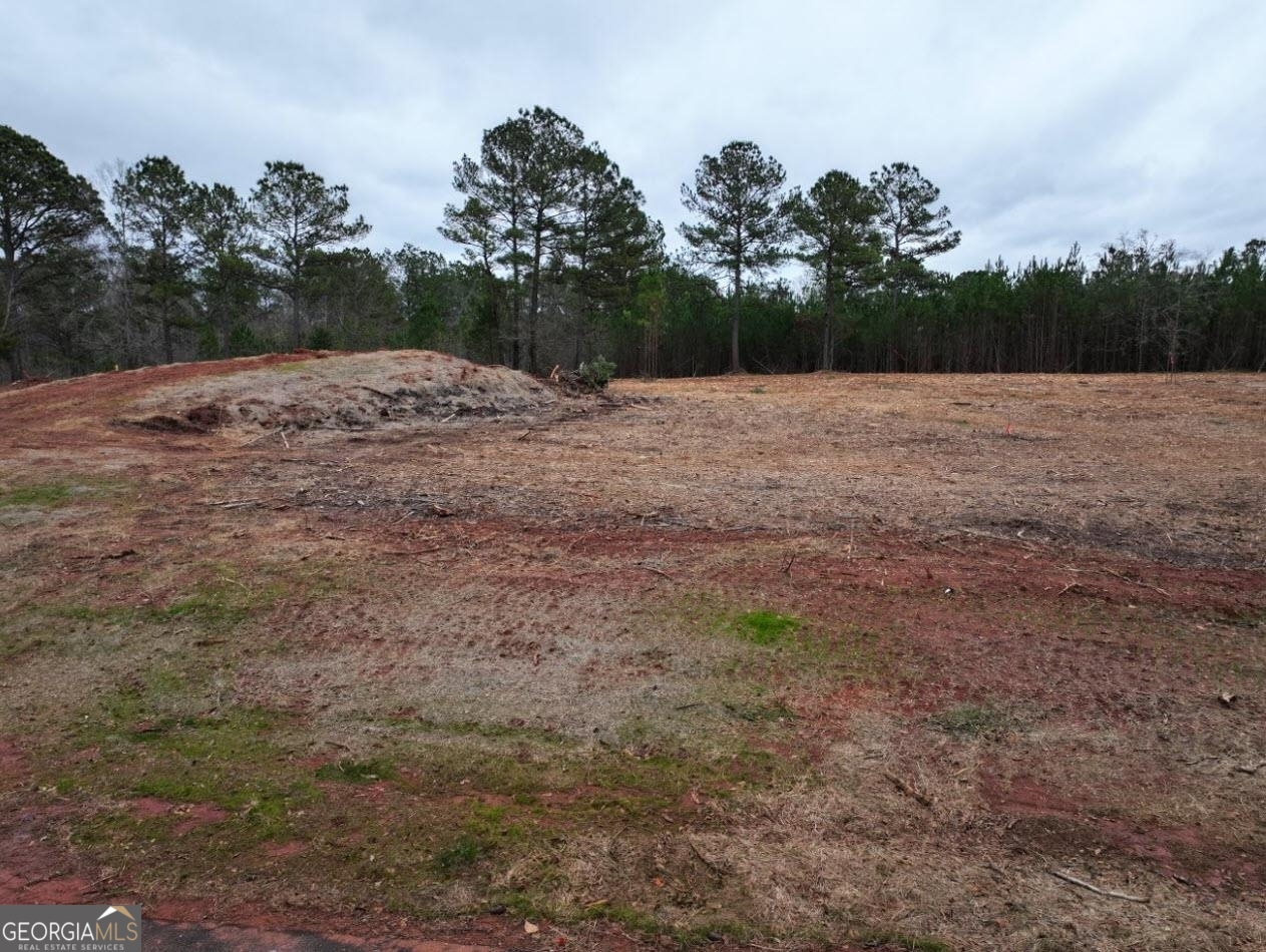 Photo 1 of 4 of LOT 14 Young LN land