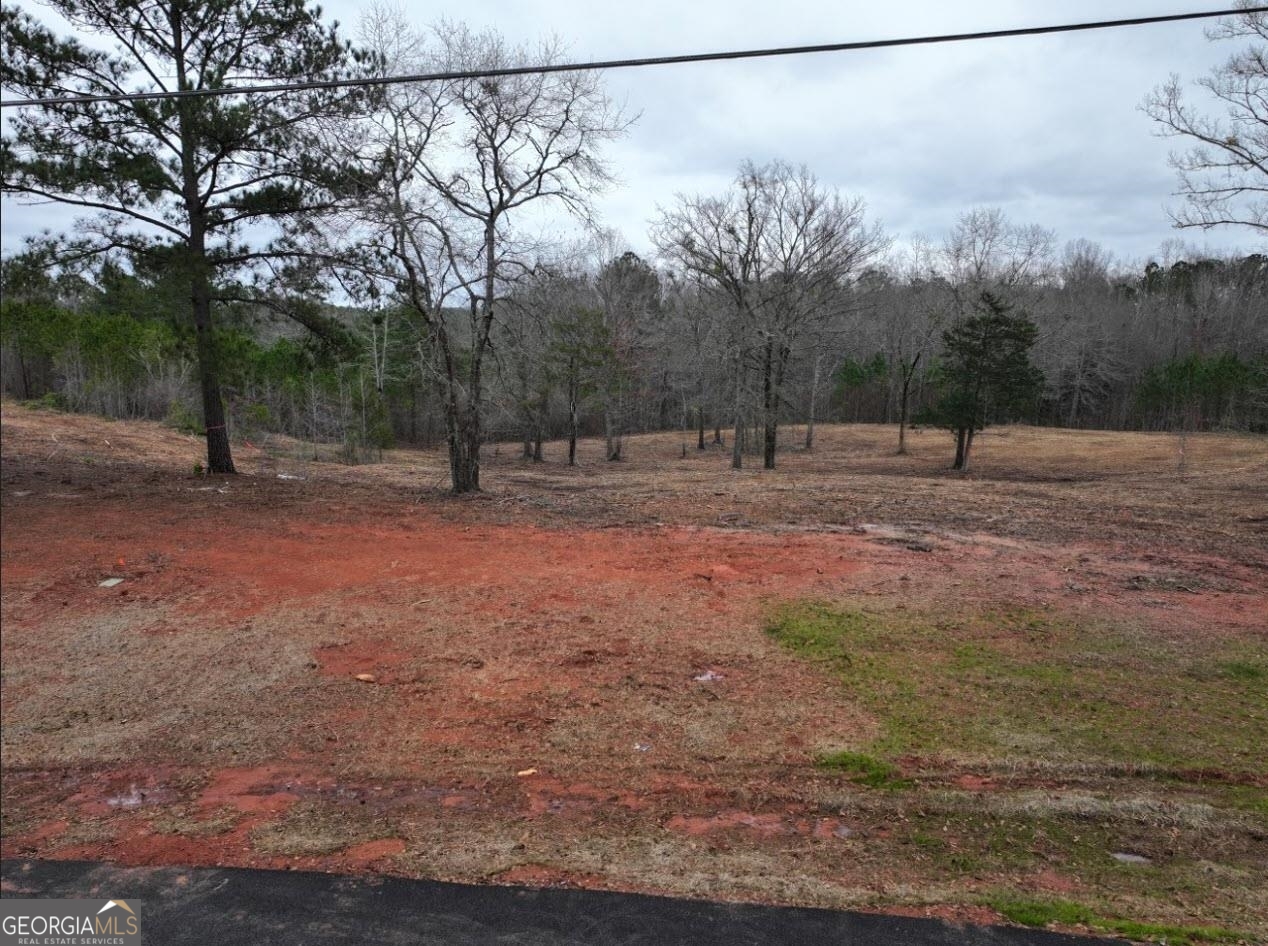 Photo 1 of 4 of LOT 10 Young LN land