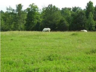 Photo 3 of 5 of 3785 Poplar Springs Rd land