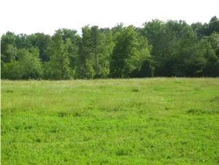 Photo 4 of 5 of 3785 Poplar Springs Rd land