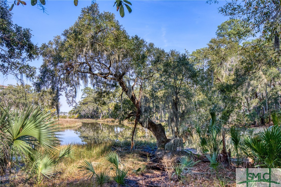 Photo 8 of 25 of 3 Cactus Point Way land