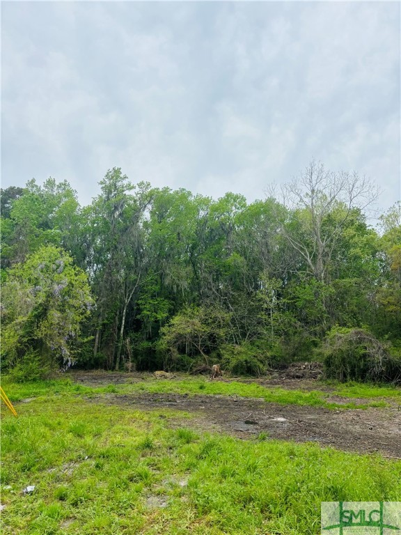 Photo 2 of 4 of 0 Bonaventure Road land