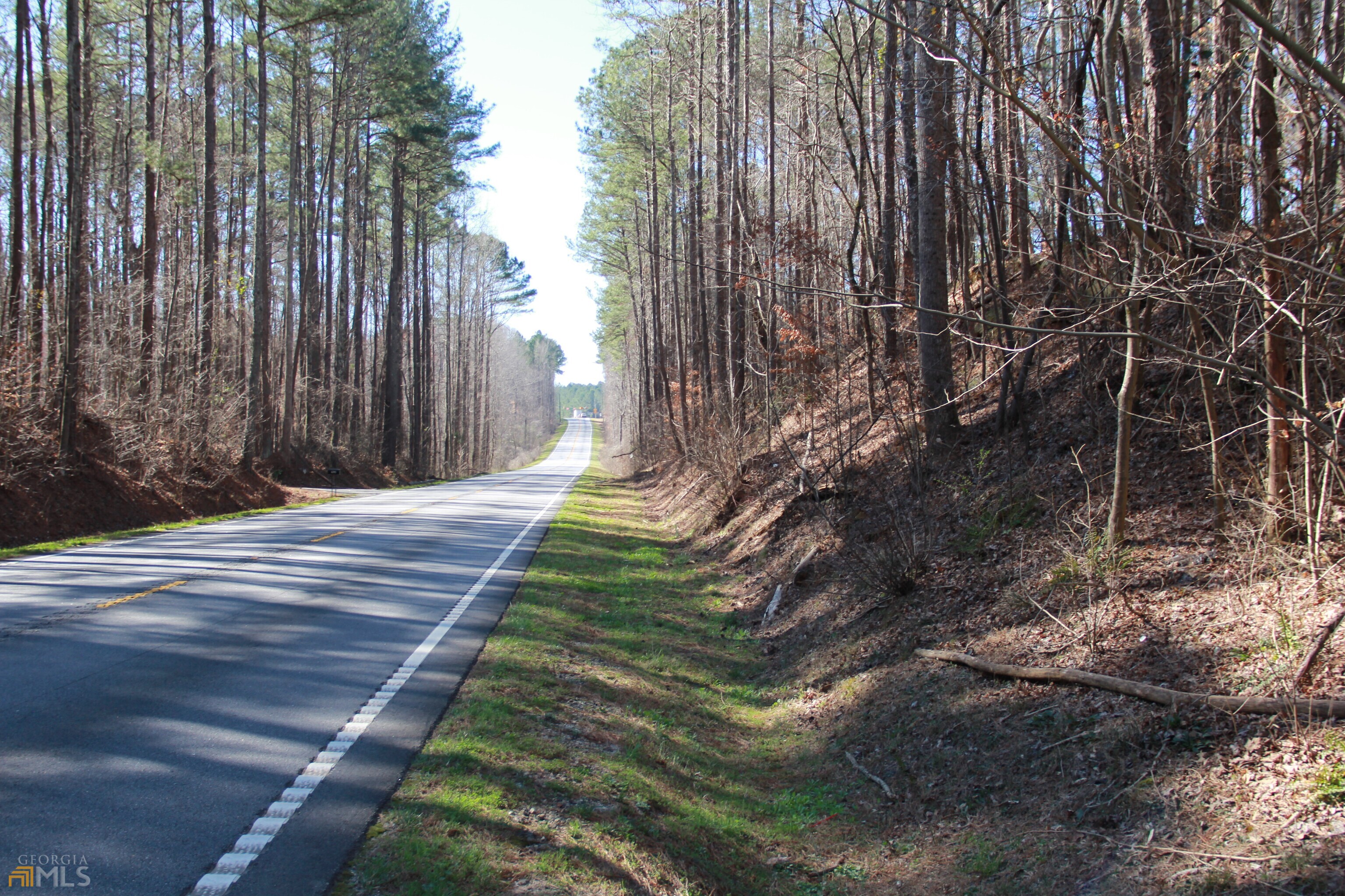 Photo 1 of 33 of 0 Cascade Palmetto HWY land