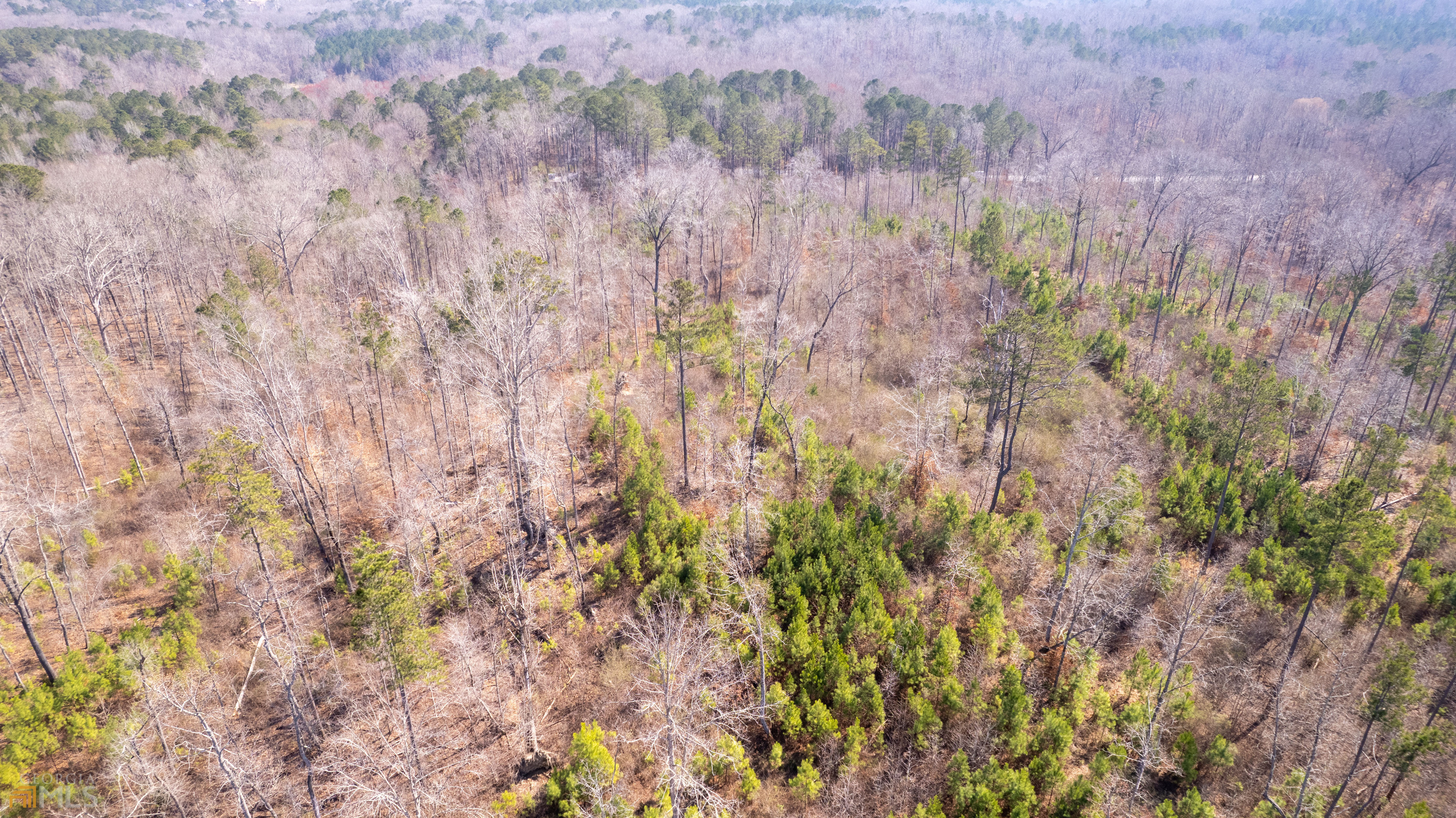 Photo 11 of 33 of 0 Cascade Palmetto HWY land