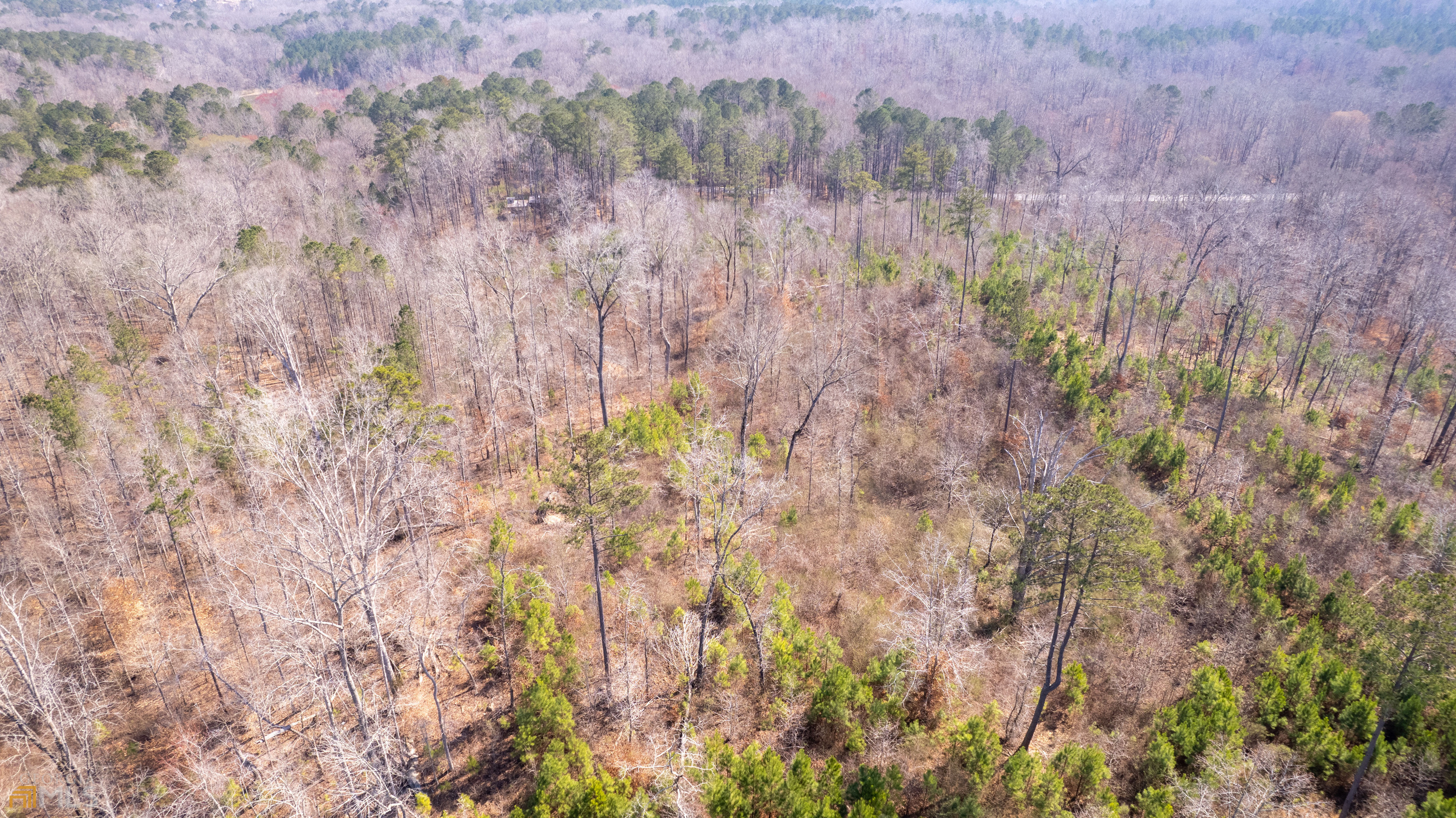 Photo 12 of 33 of 0 Cascade Palmetto HWY land