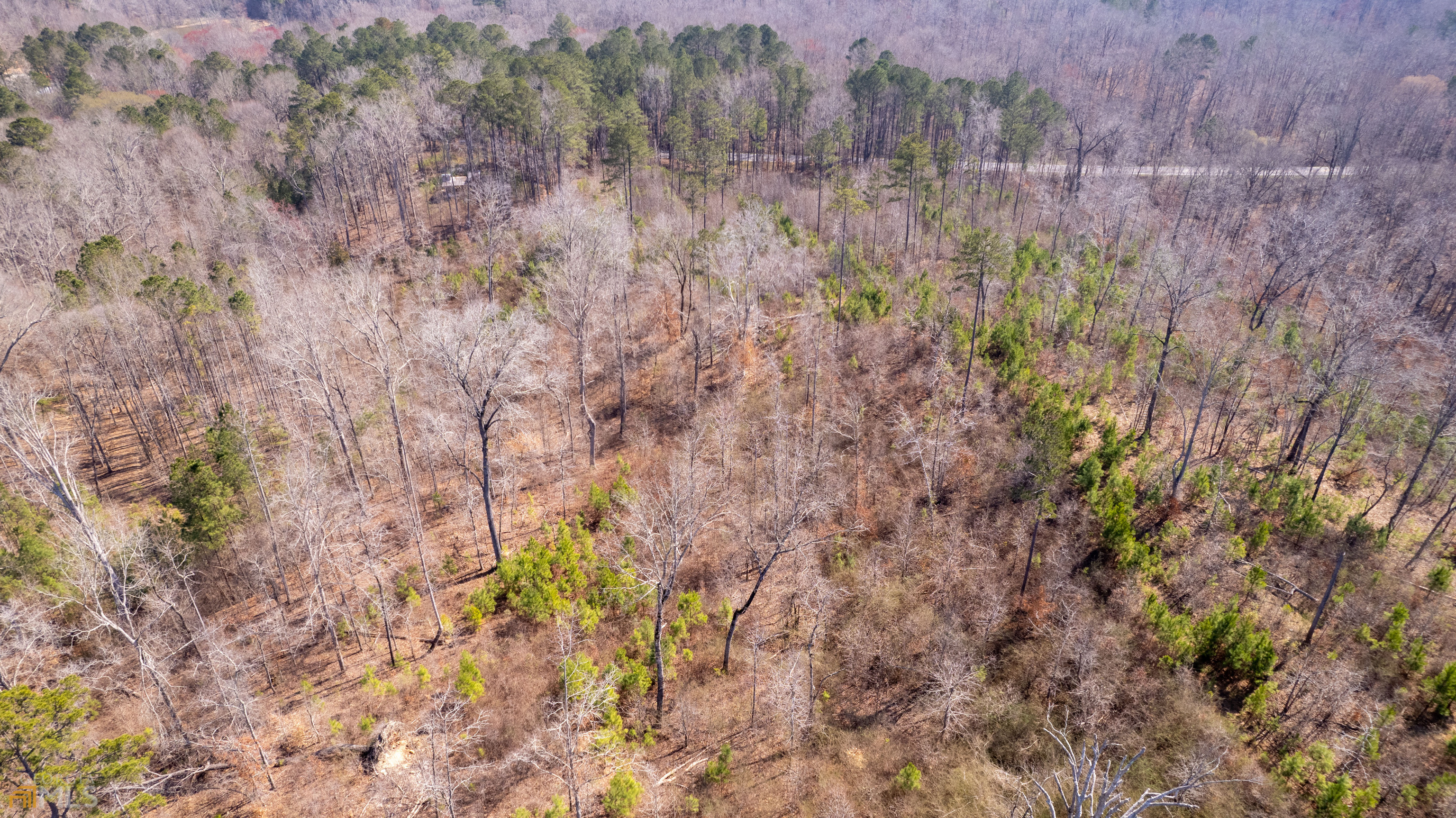 Photo 13 of 33 of 0 Cascade Palmetto HWY land