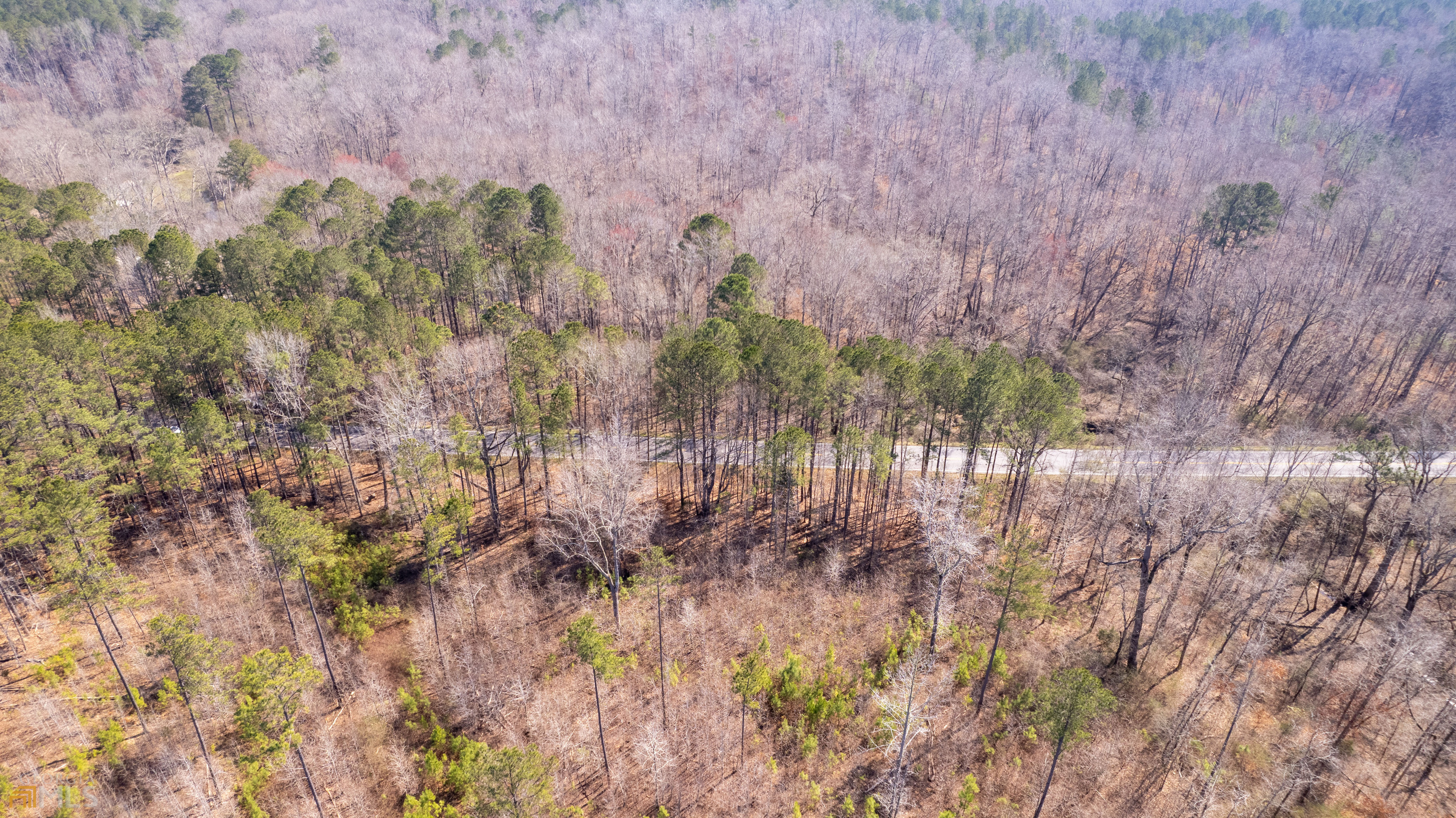 Photo 18 of 33 of 0 Cascade Palmetto HWY land