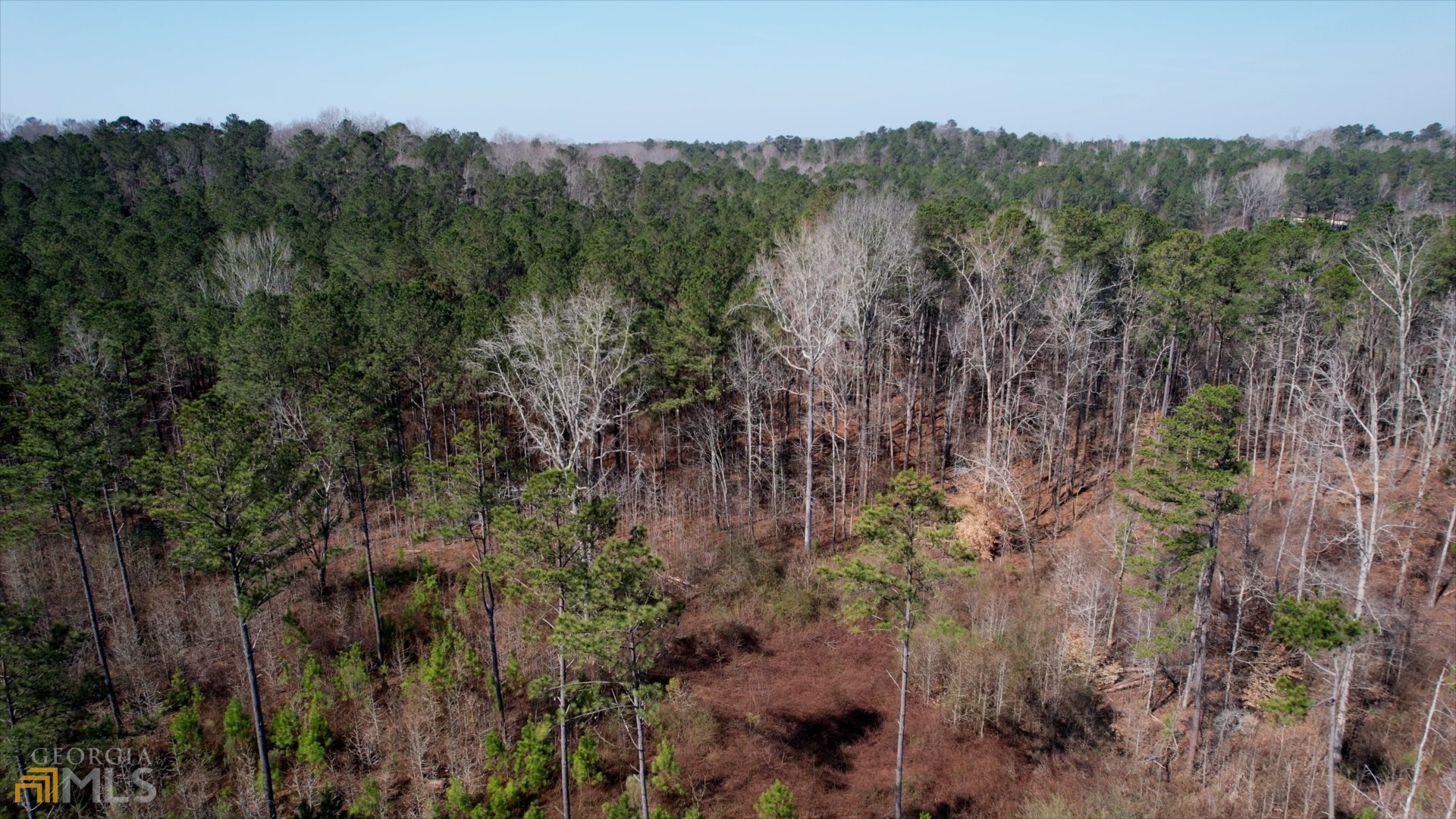 Photo 29 of 33 of 0 Cascade Palmetto HWY land