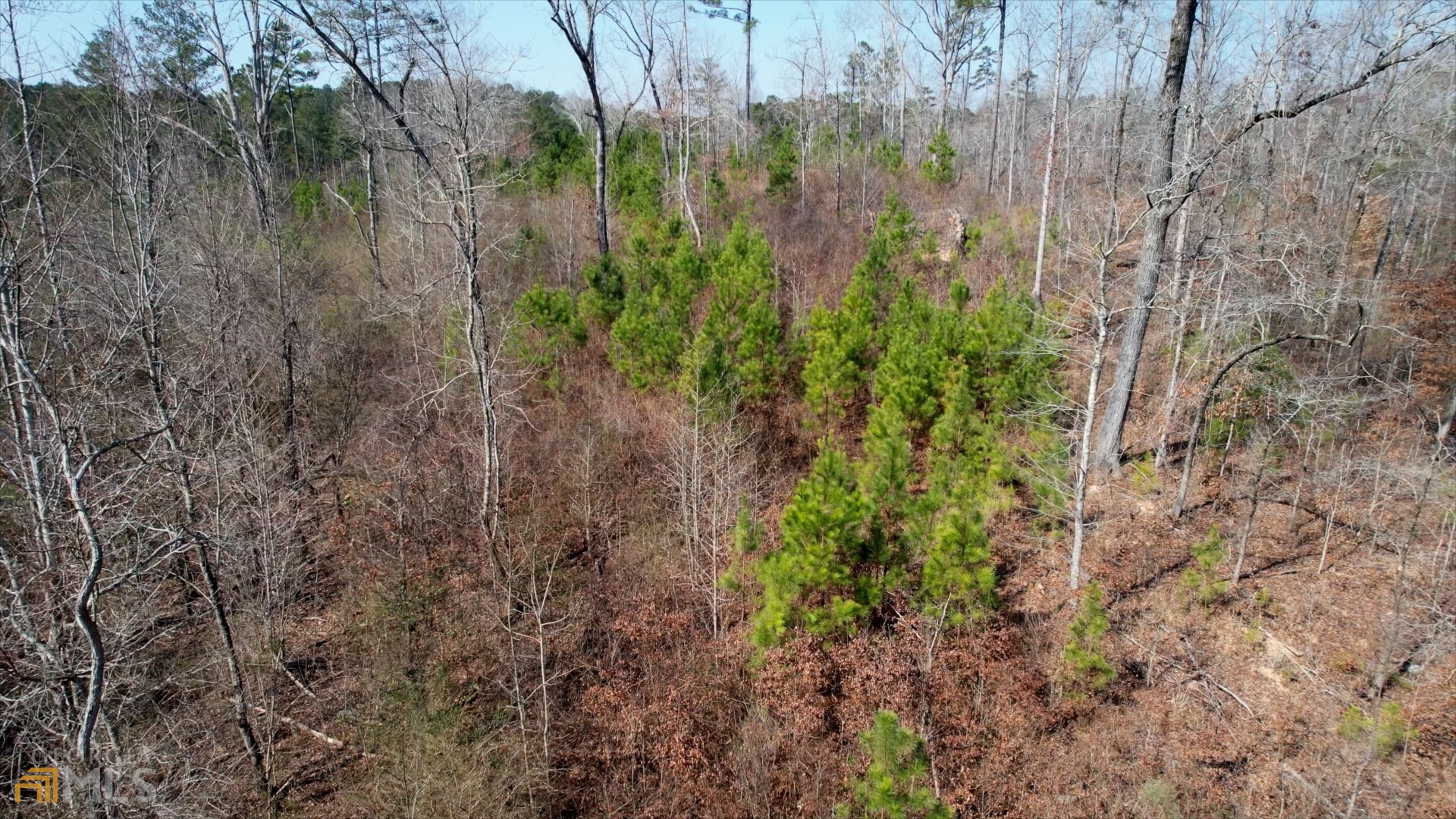 Photo 30 of 33 of 0 Cascade Palmetto HWY land