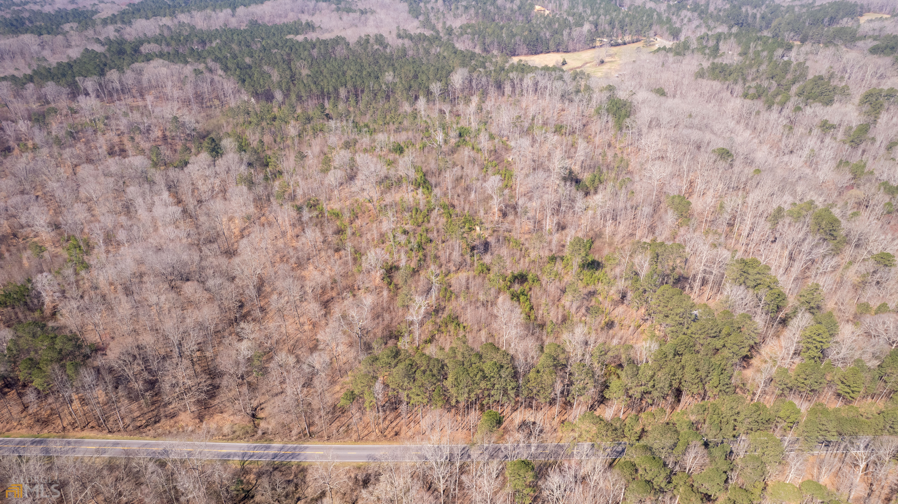 Photo 4 of 33 of 0 Cascade Palmetto HWY land