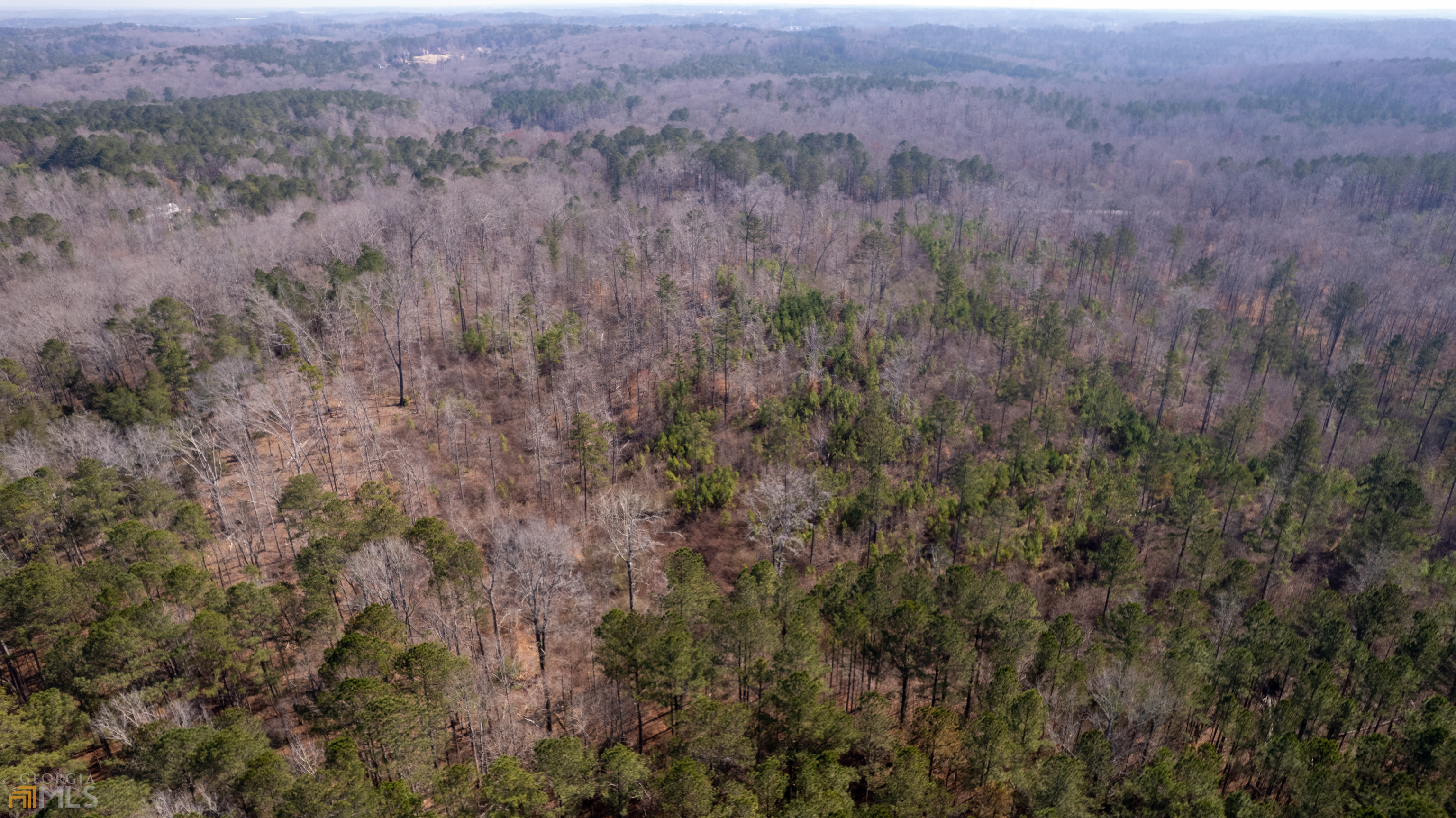 Photo 5 of 33 of 0 Cascade Palmetto HWY land