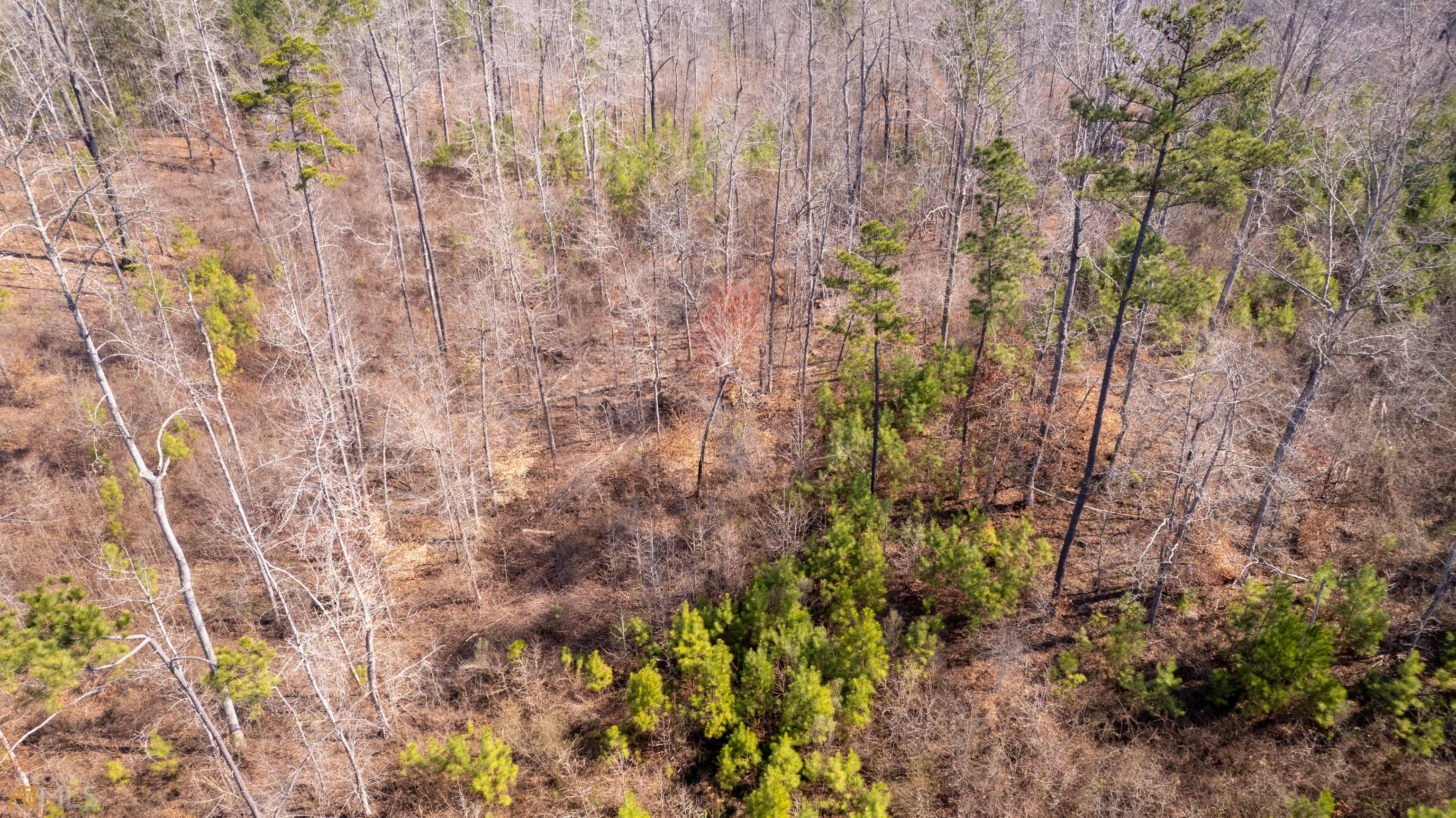 Photo 9 of 33 of 0 Cascade Palmetto HWY land