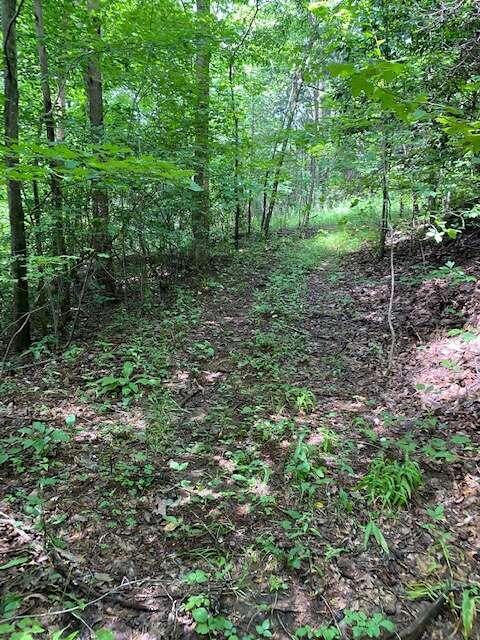 Photo 11 of 15 of 105 +/- ACRES Folkstone RD land