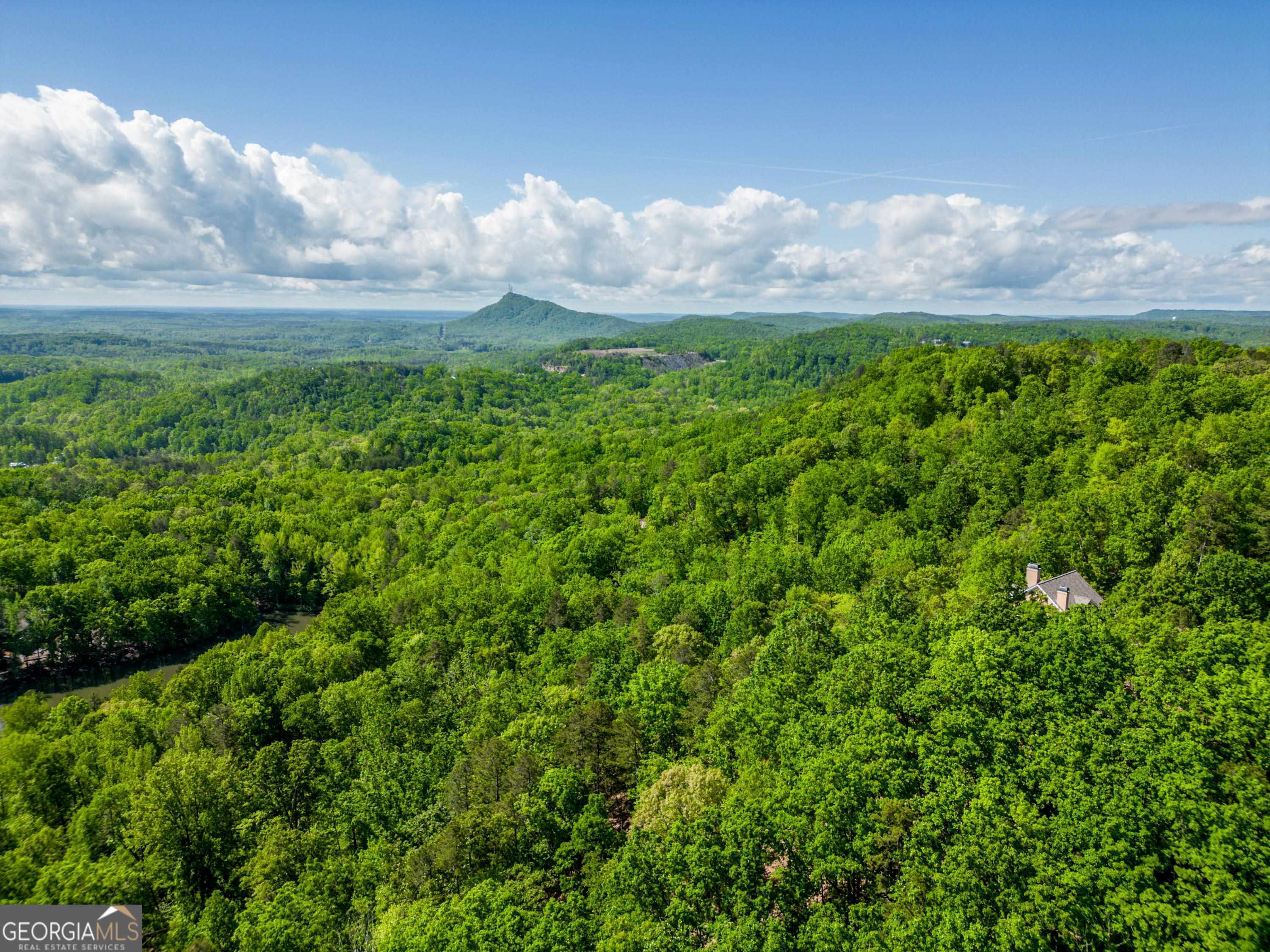 Photo 2 of 11 of 20 Rock Quarry CIR land