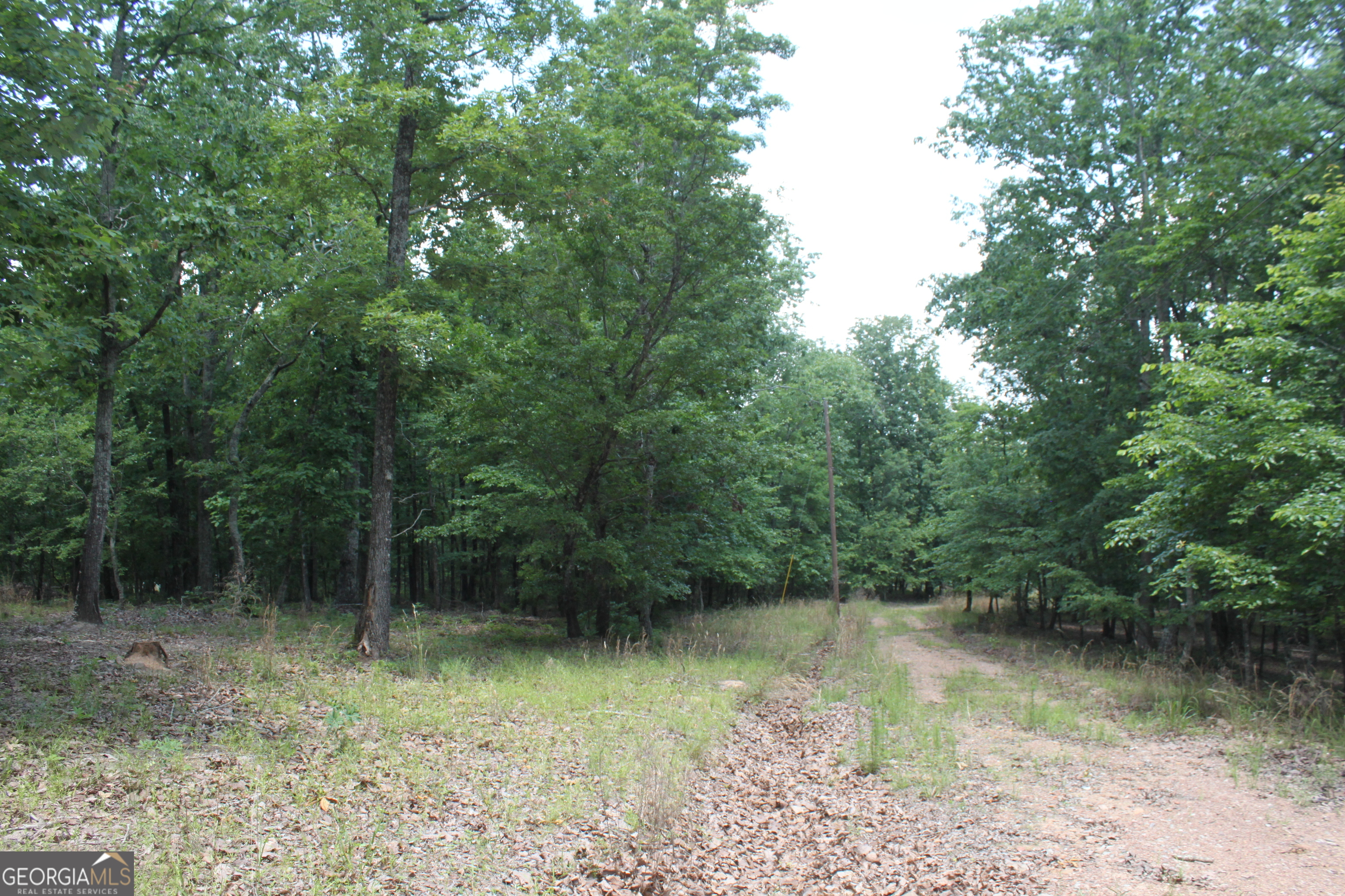 Photo 4 of 7 of 117 Wolfden Branch Rd land