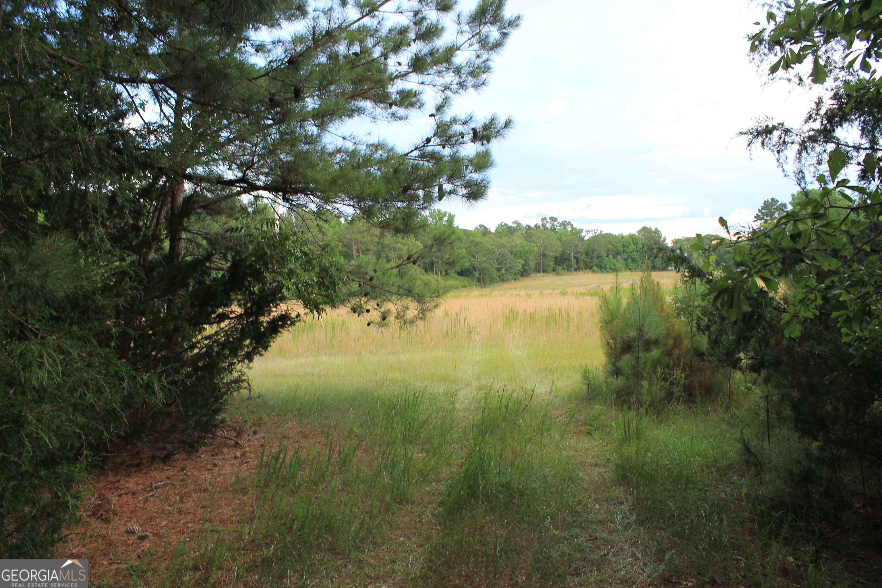 Photo 2 of 14 of 0 Flat Rock Road land