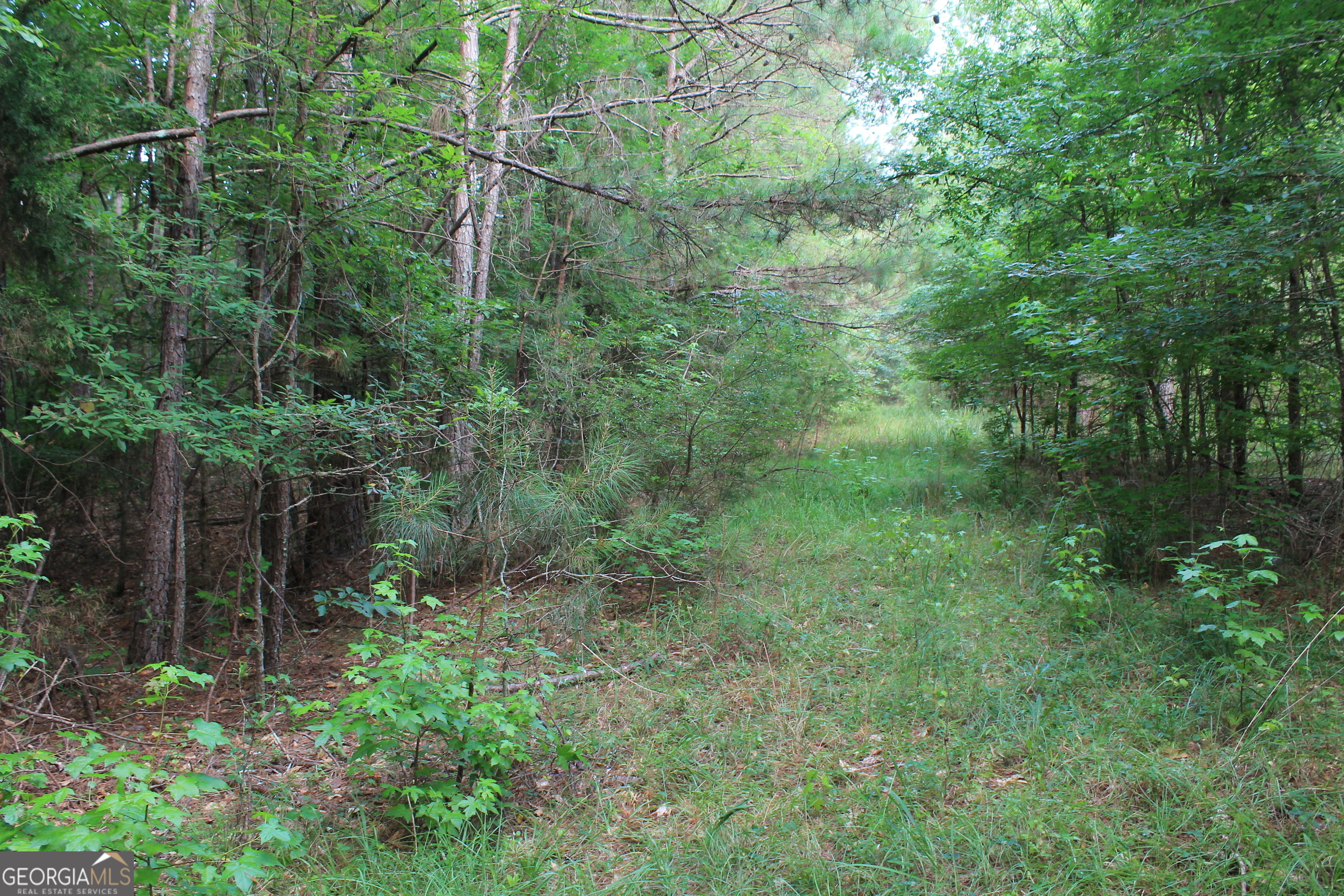 Photo 4 of 14 of 0 Flat Rock Road land