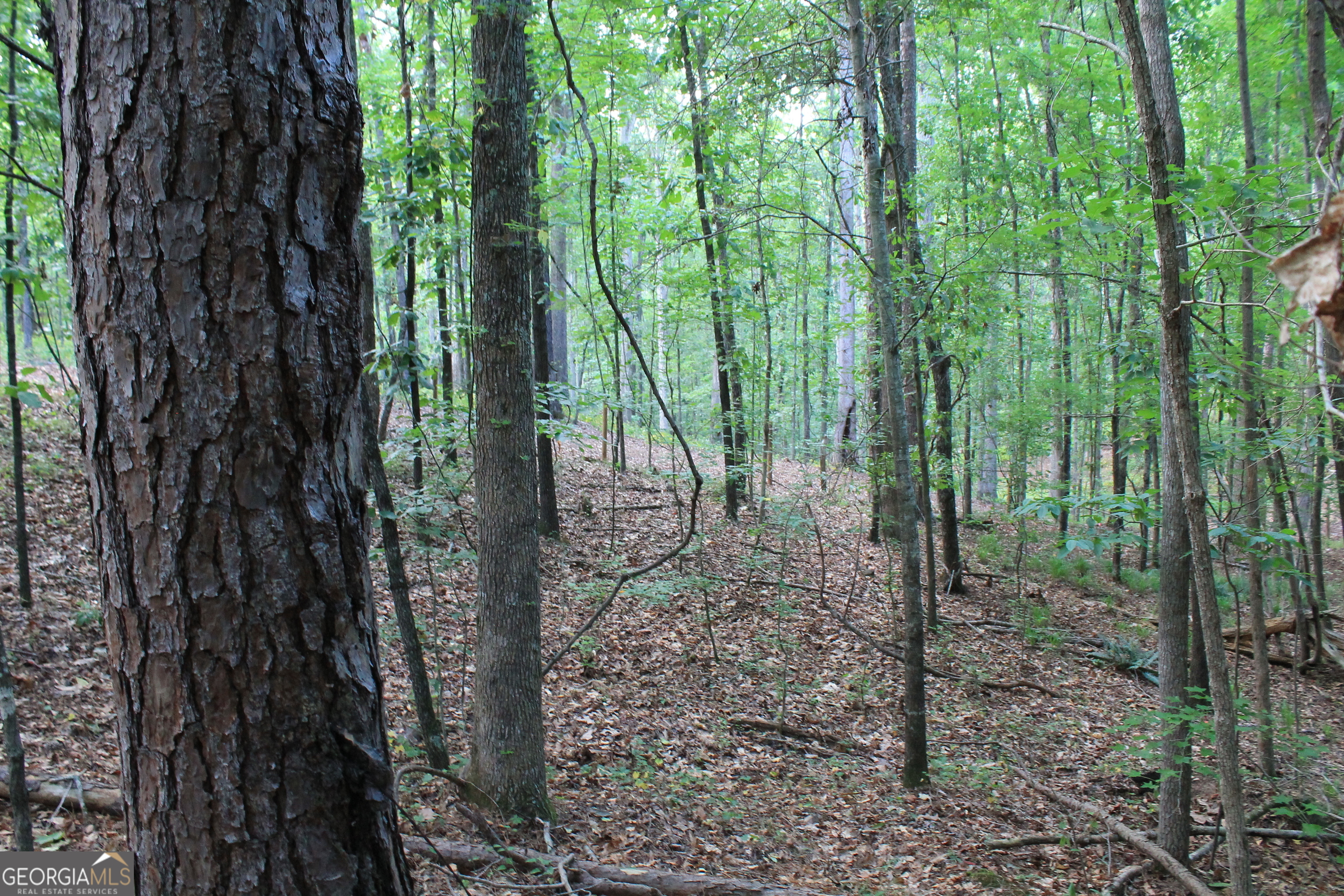 Photo 5 of 14 of 0 Flat Rock Road land