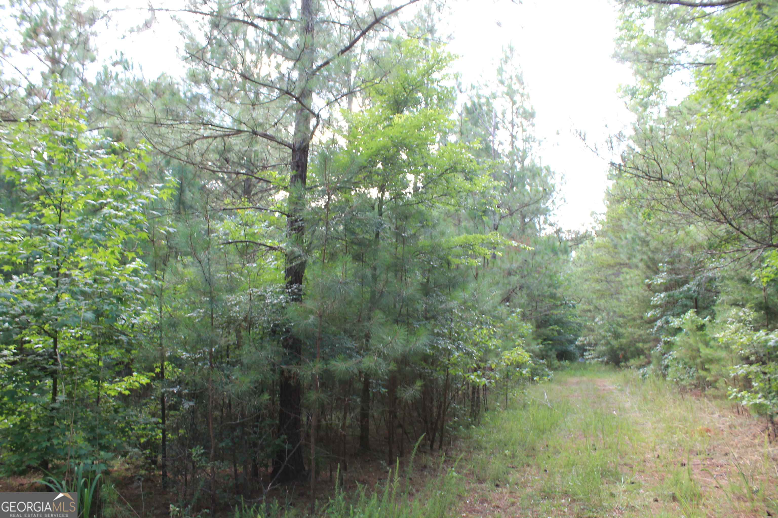 Photo 6 of 14 of 0 Flat Rock Road land