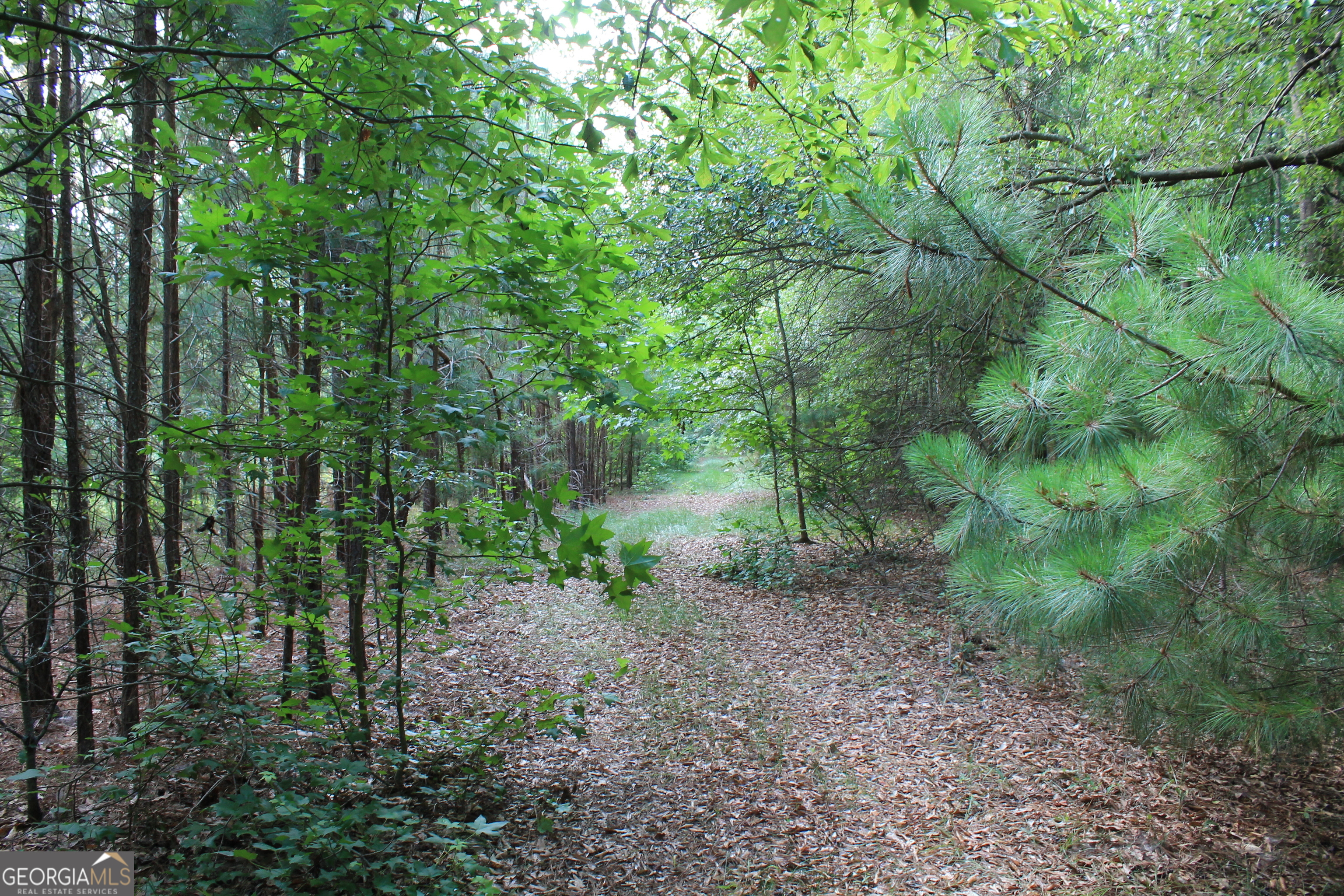 Photo 7 of 14 of 0 Flat Rock Road land