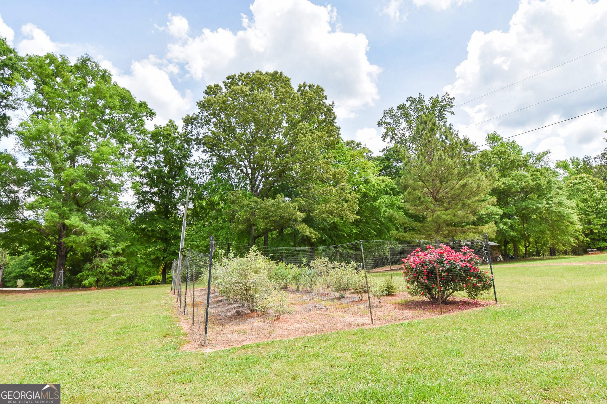 Photo 8 of 126 of 1442 Hollonville RD house