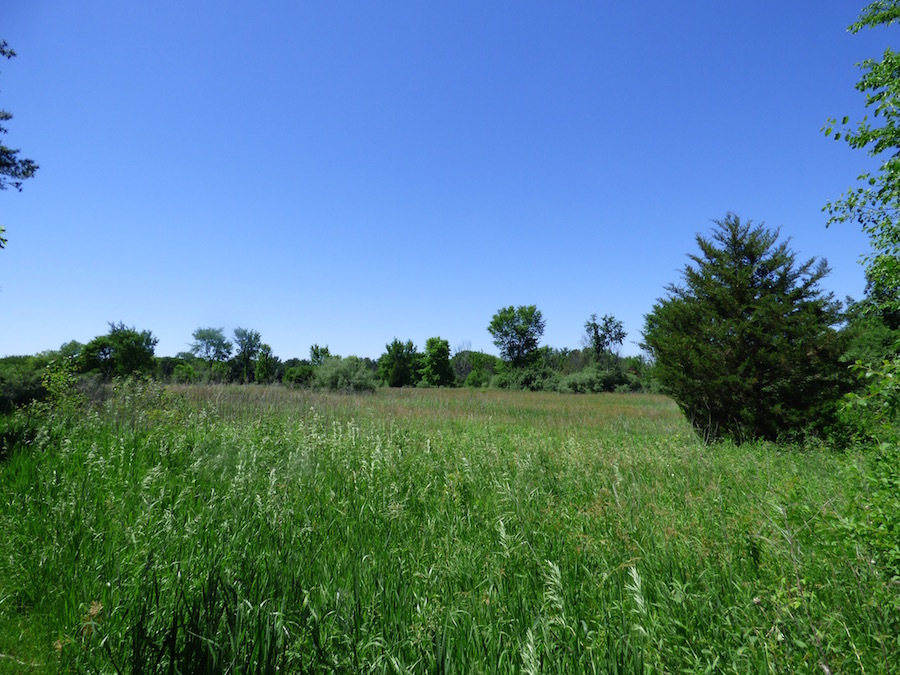 Photo 1 of 5 of 20 Barrington Hills Road land