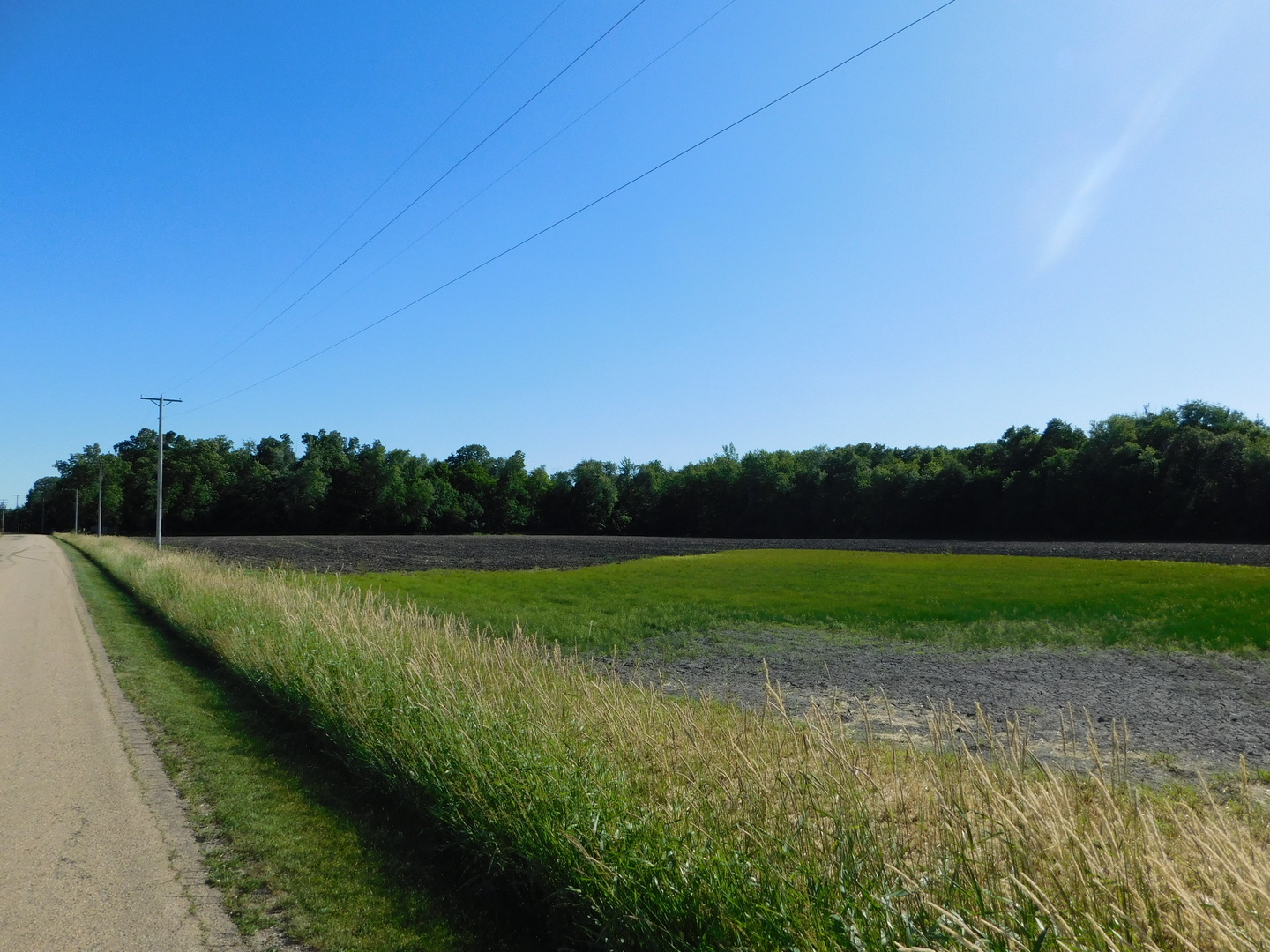 Photo 5 of 5 of 4531 E 14th Road land