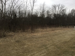 Photo 4 of 4 of LOT 4 Williams Circle land