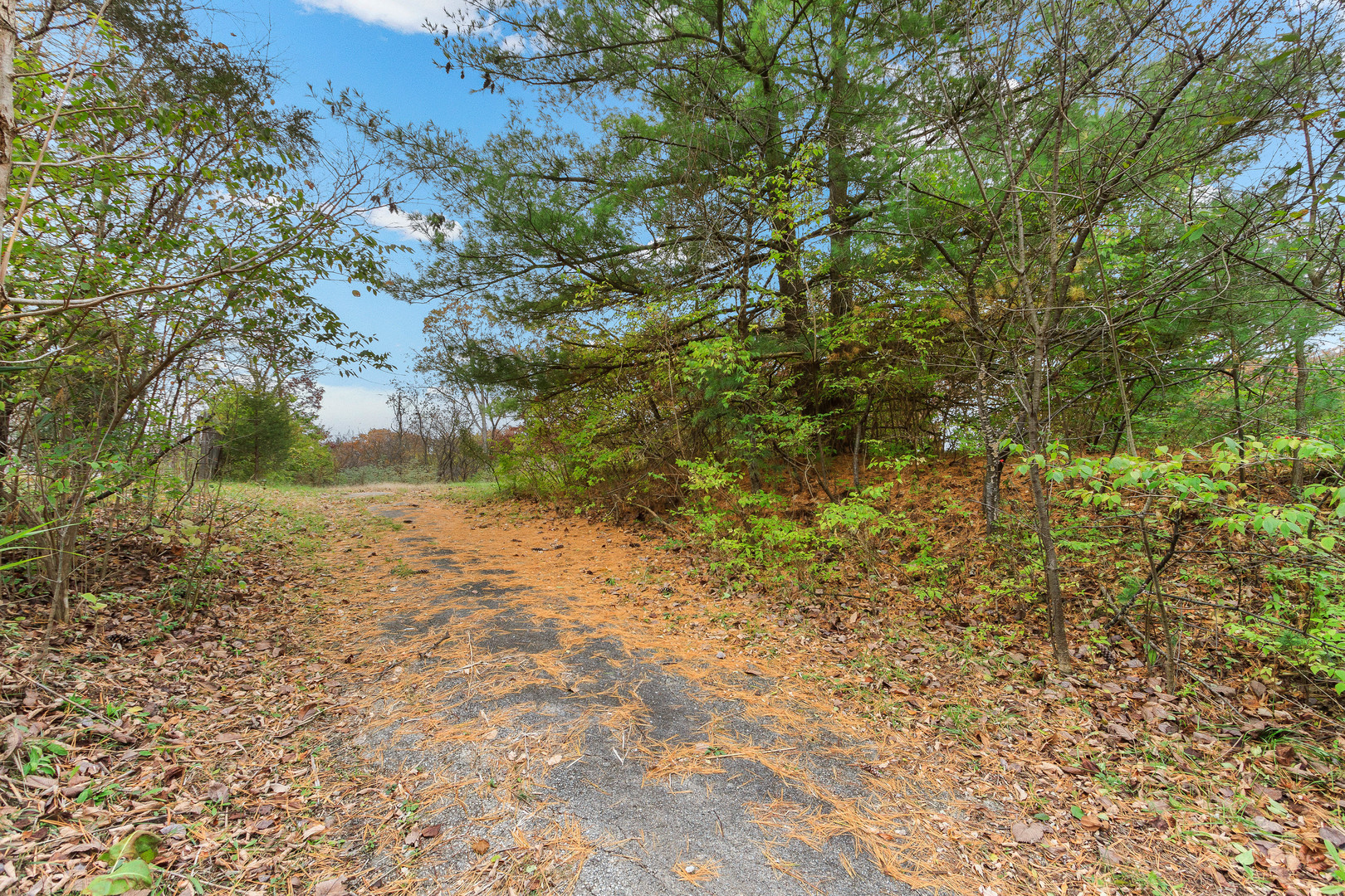 Photo 1 of 3 of 801 Bratton Avenue land