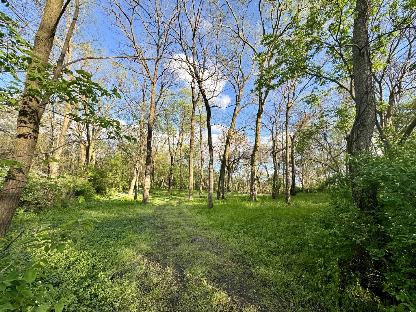 Photo 3 of 9 of 509 Fowler Street land