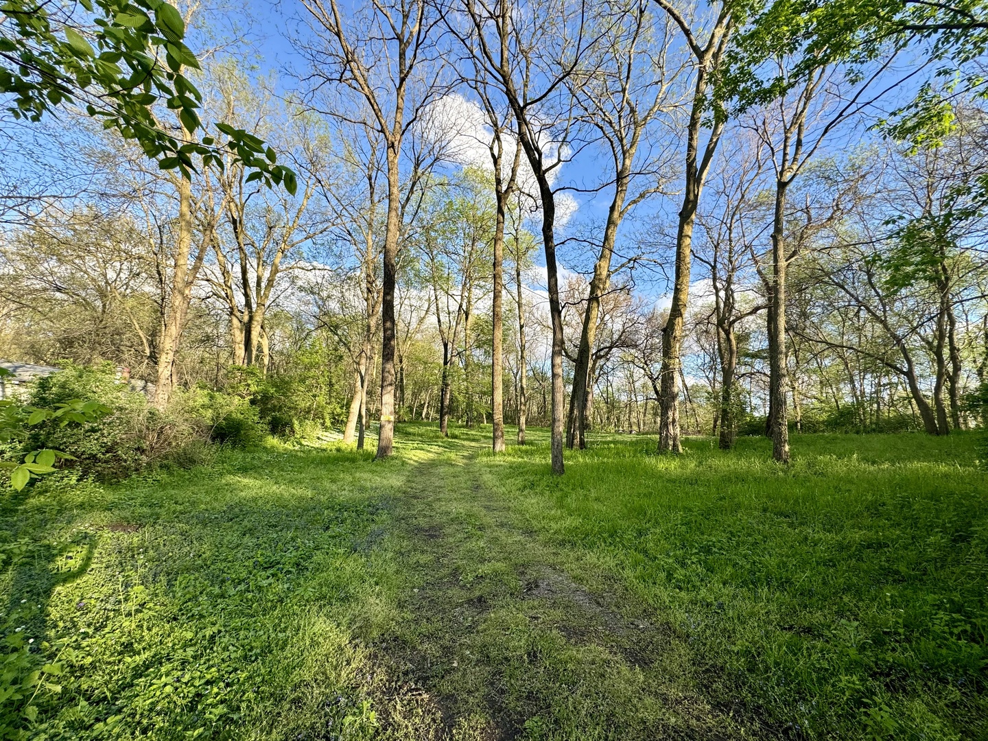 Photo 5 of 9 of 509 Fowler Street land