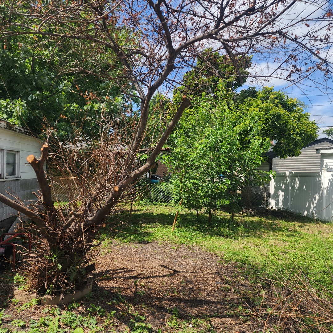 Photo 4 of 10 of 10820 S Kostner Avenue house