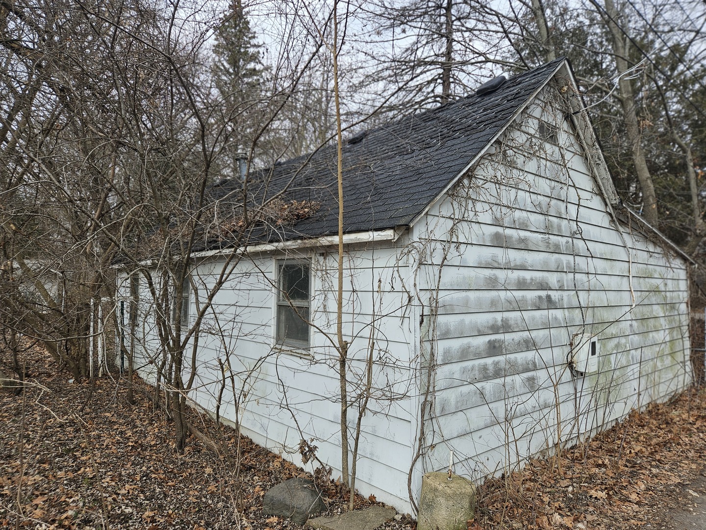 Photo 7 of 7 of 28241 W Greenwood Avenue house