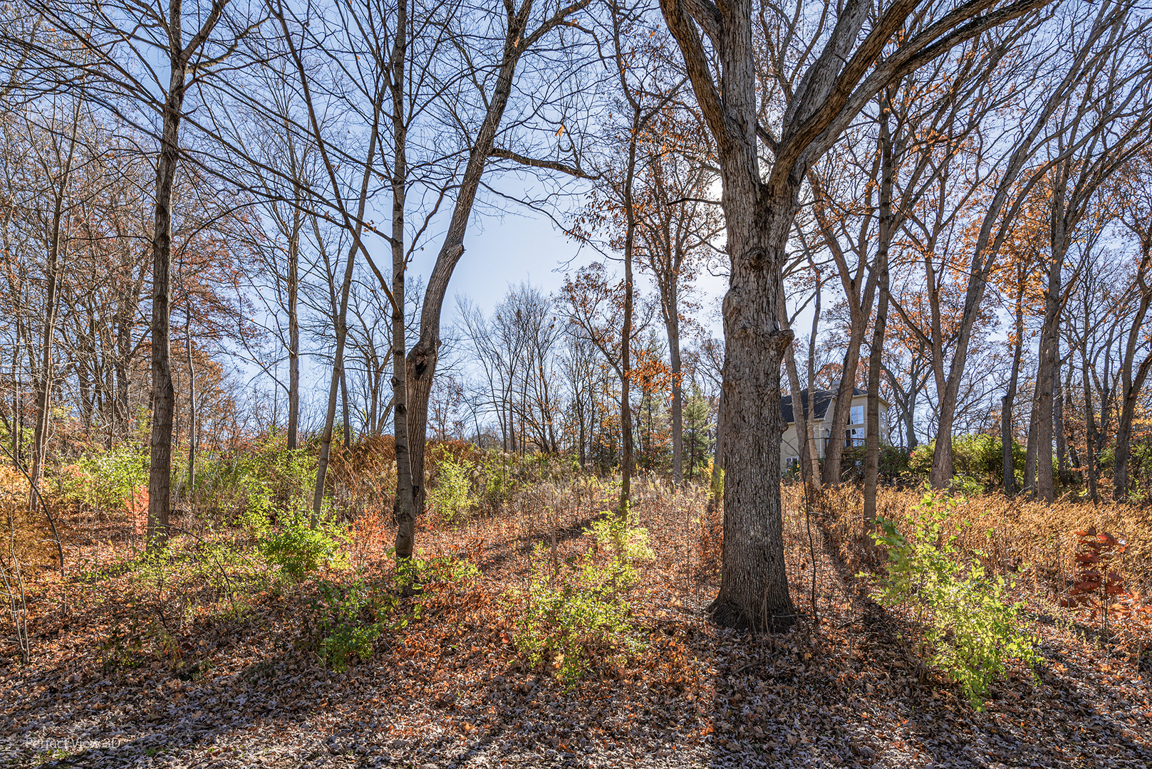 Photo 4 of 6 of Lot 5 Illinois Street land