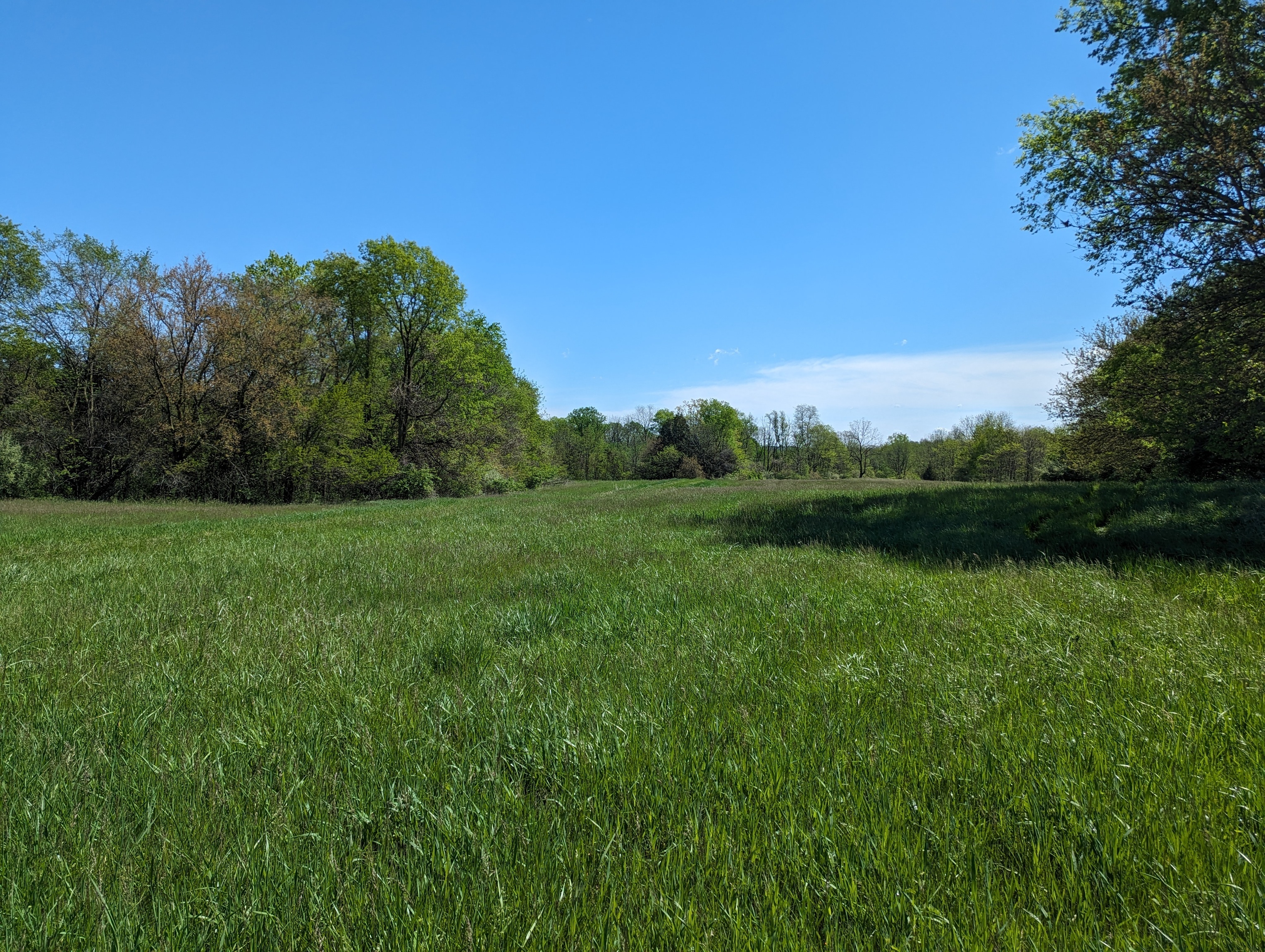 Photo 13 of 31 of 3016 State Road 236 land