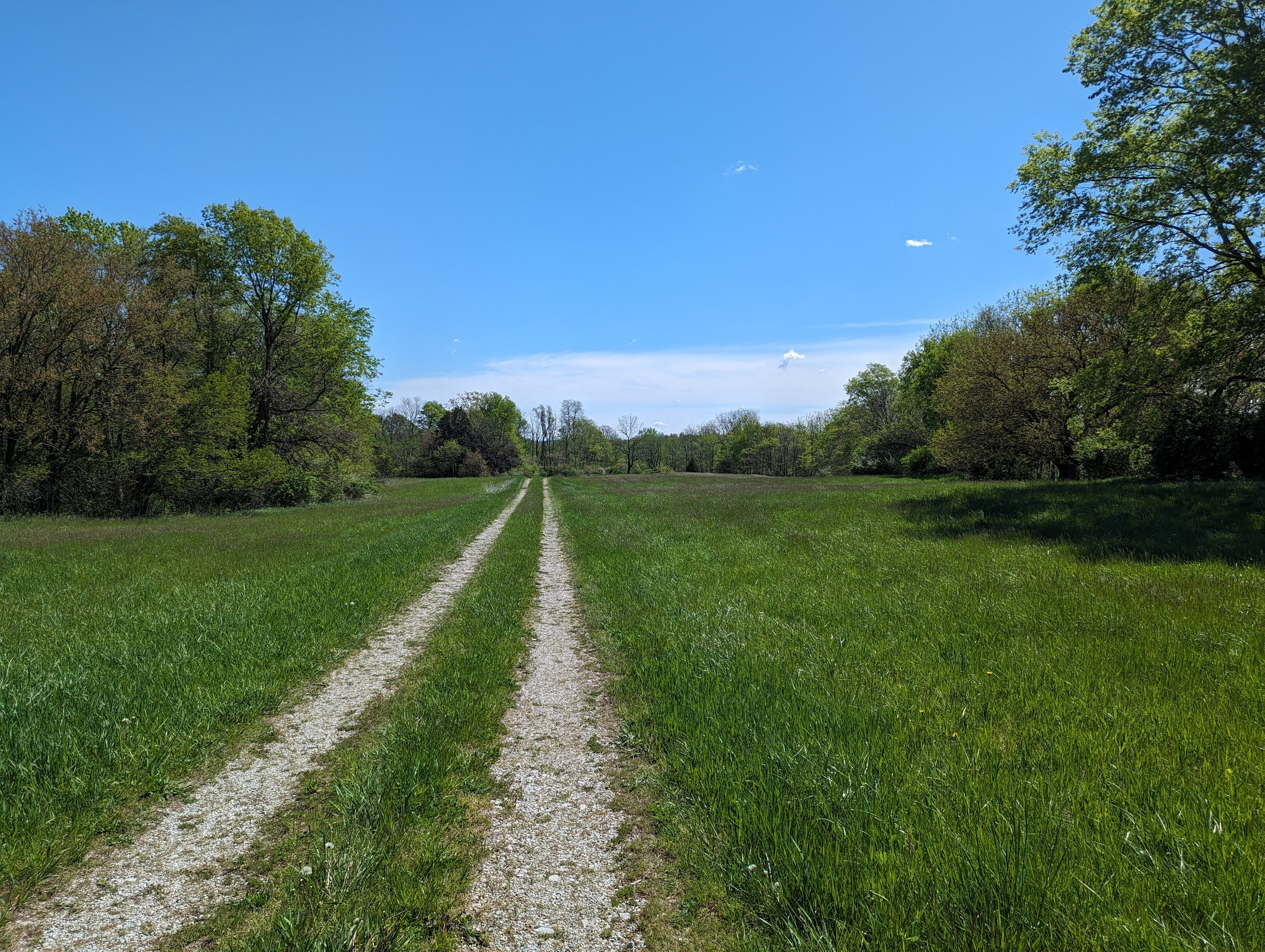 Photo 9 of 31 of 3016 State Road 236 land