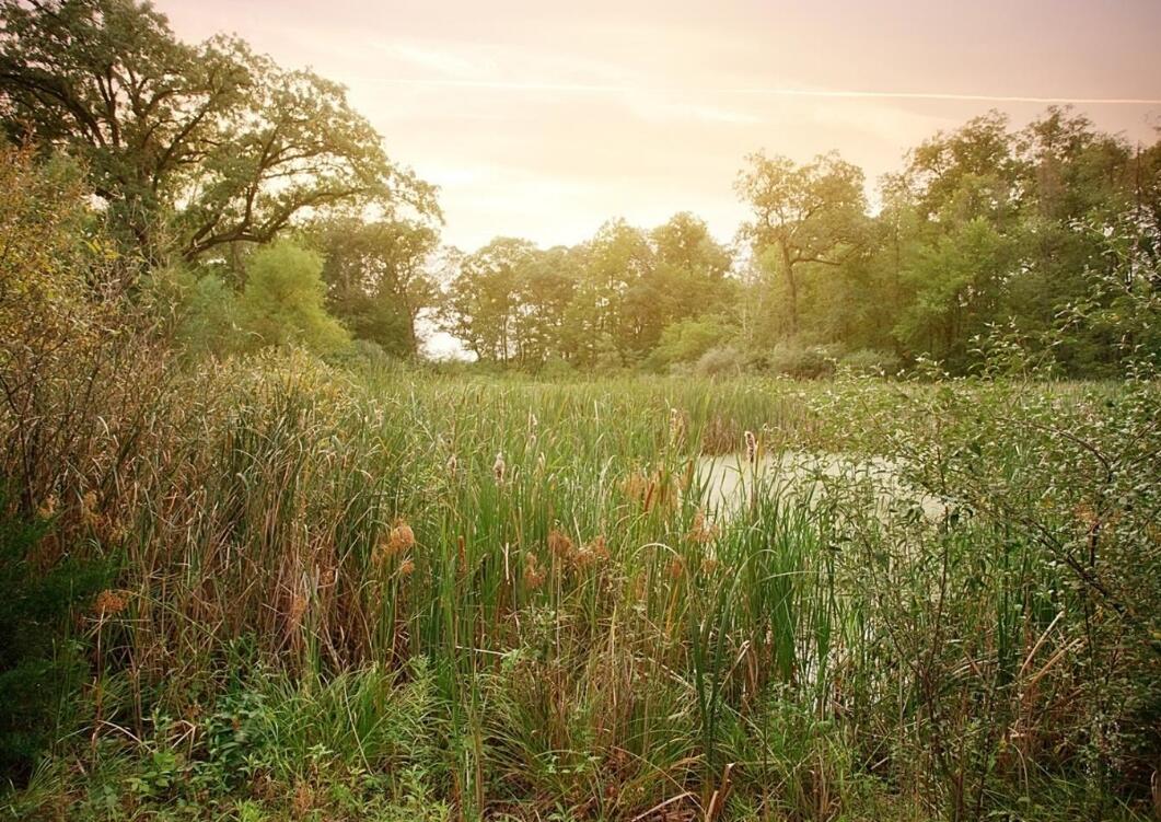 Photo 1 of 3 of 4136 166th Lane land