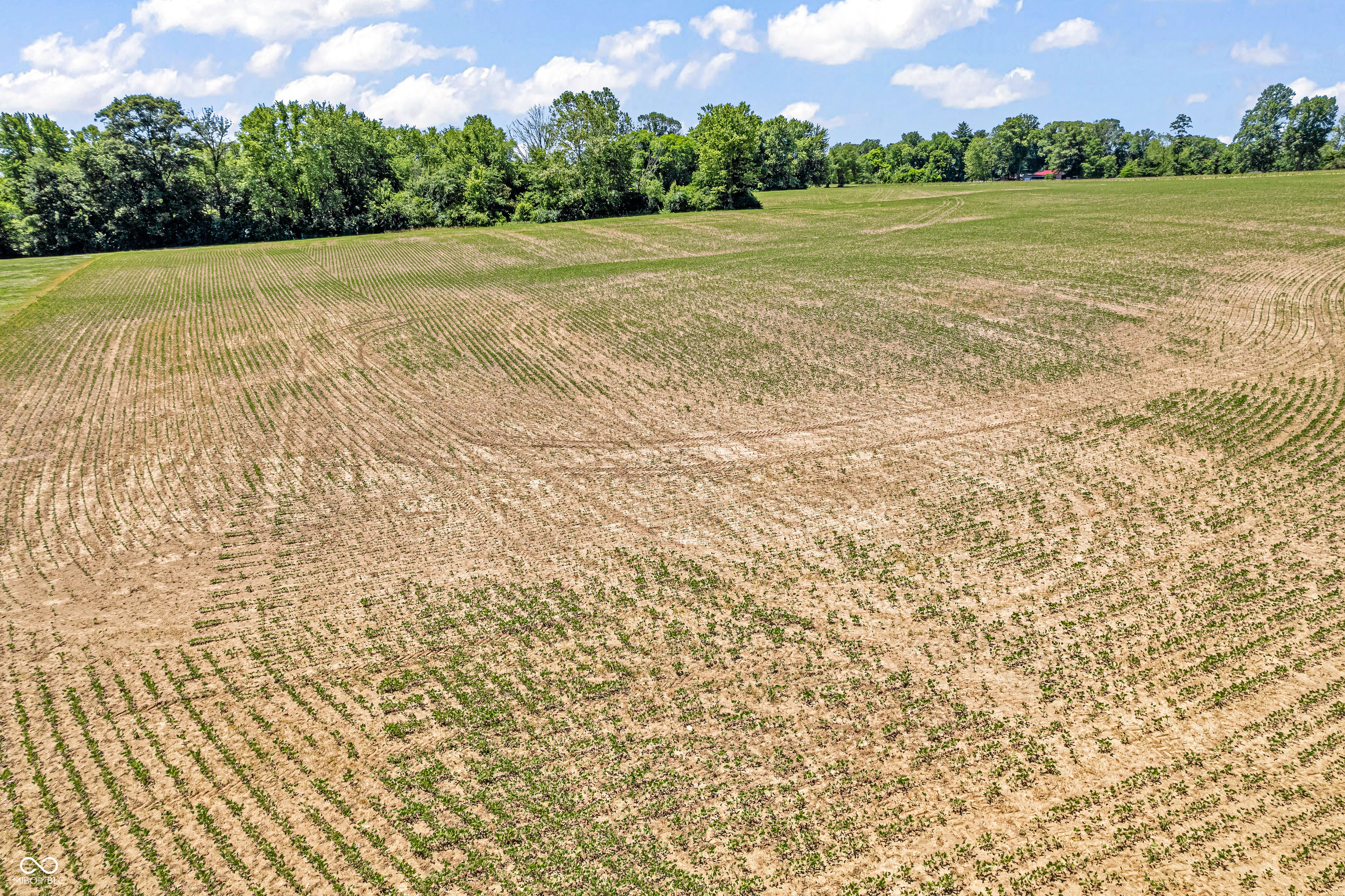 Photo 7 of 13 of 600 E State Road 42 land