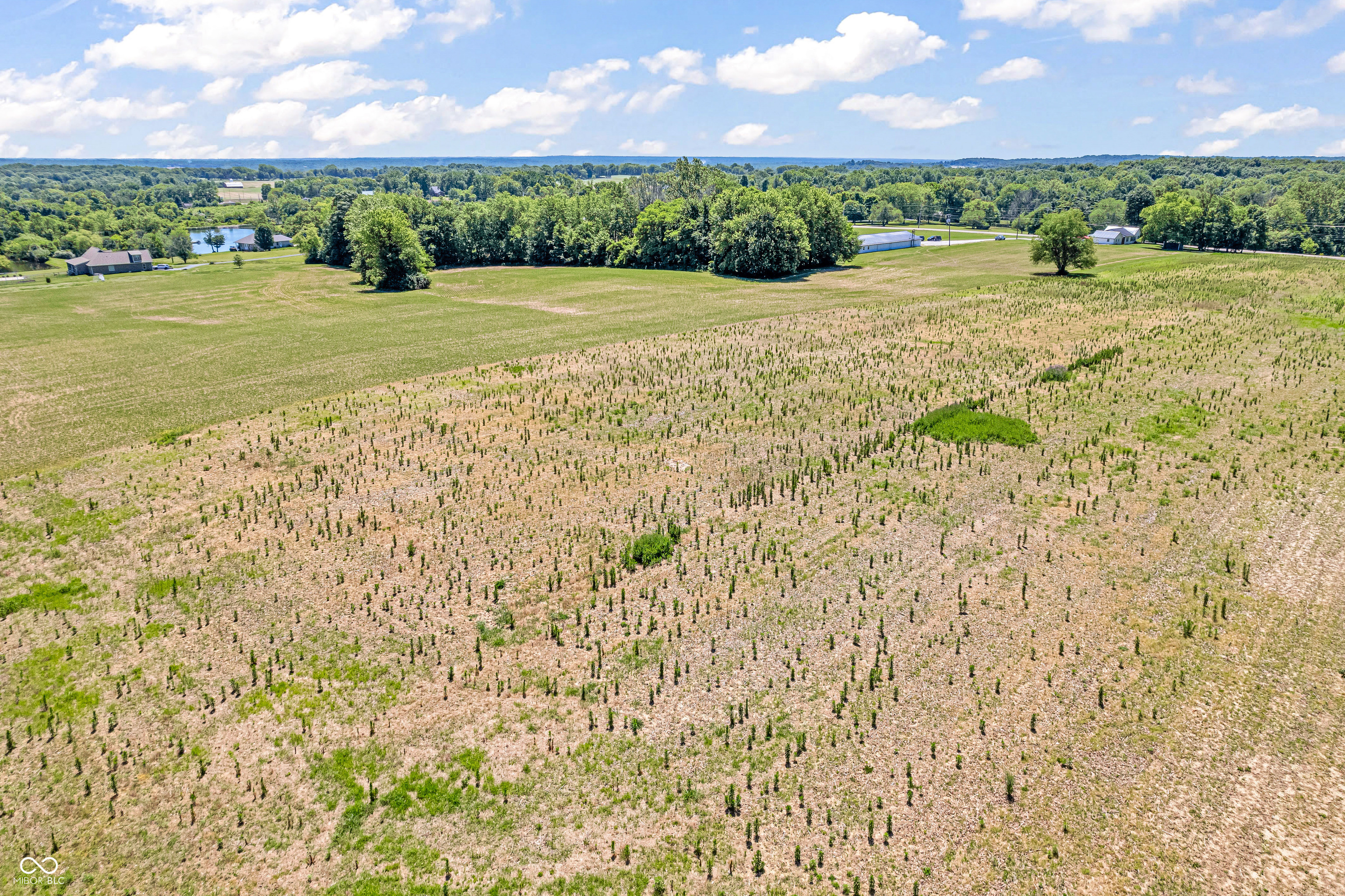 Photo 8 of 13 of 600 E State Road 42 land